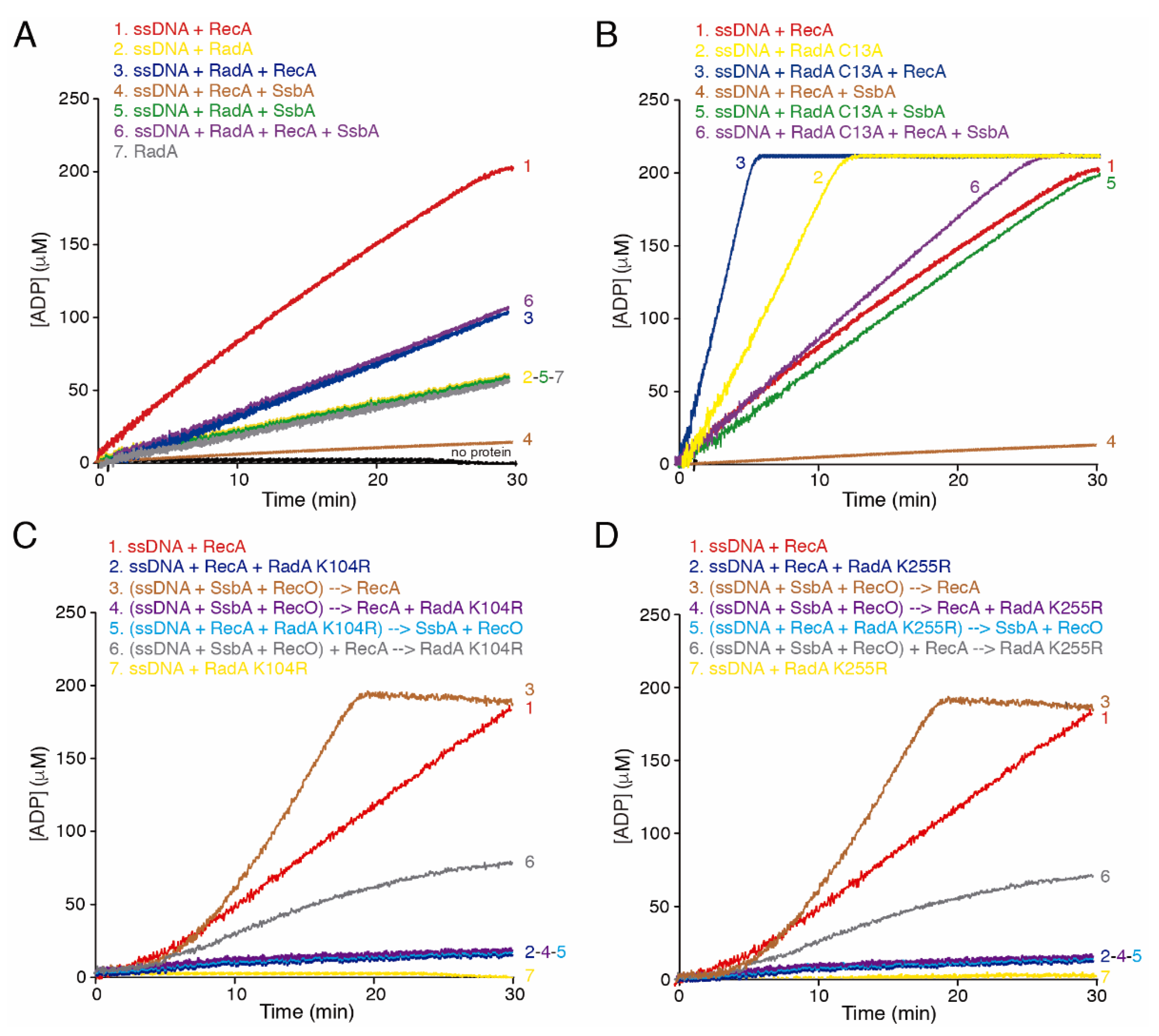 Ijms 24 04536 g001 Ijms 24 04536 g001