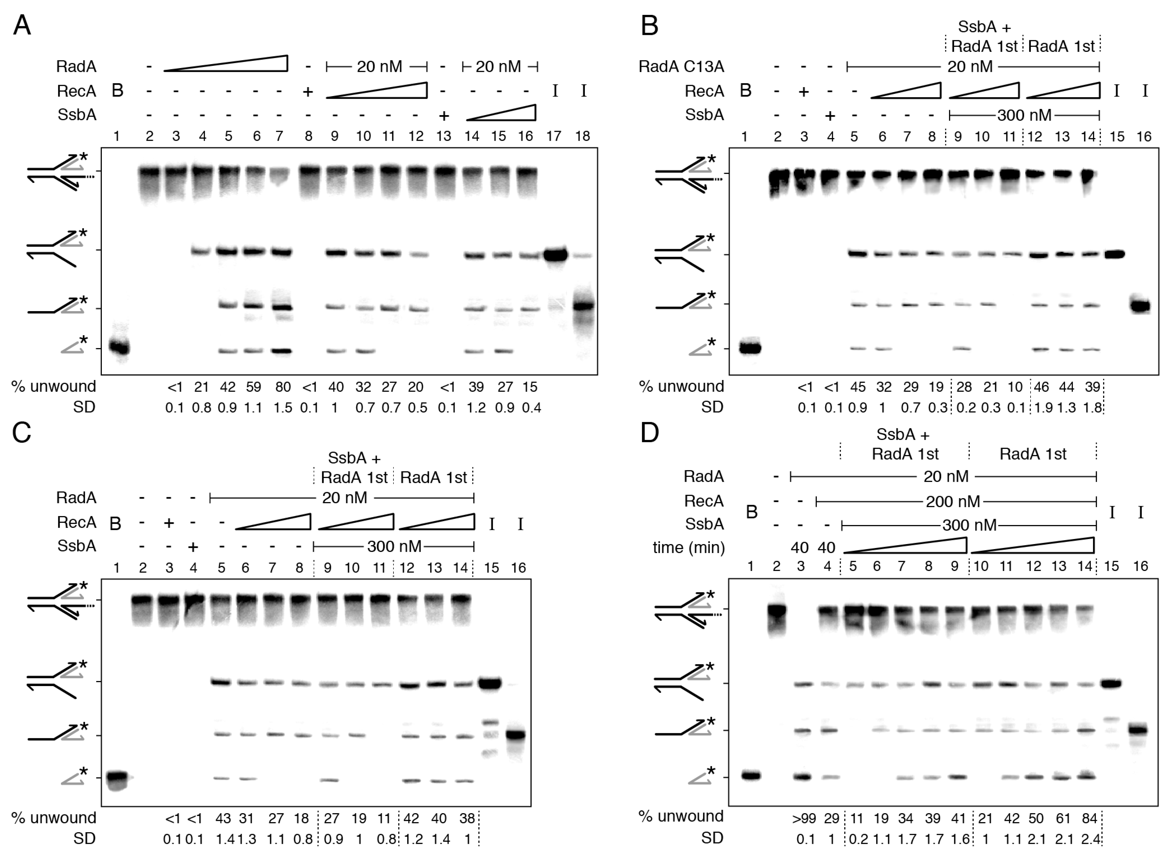 Ijms 24 04536 g002 Ijms 24 04536 g002
