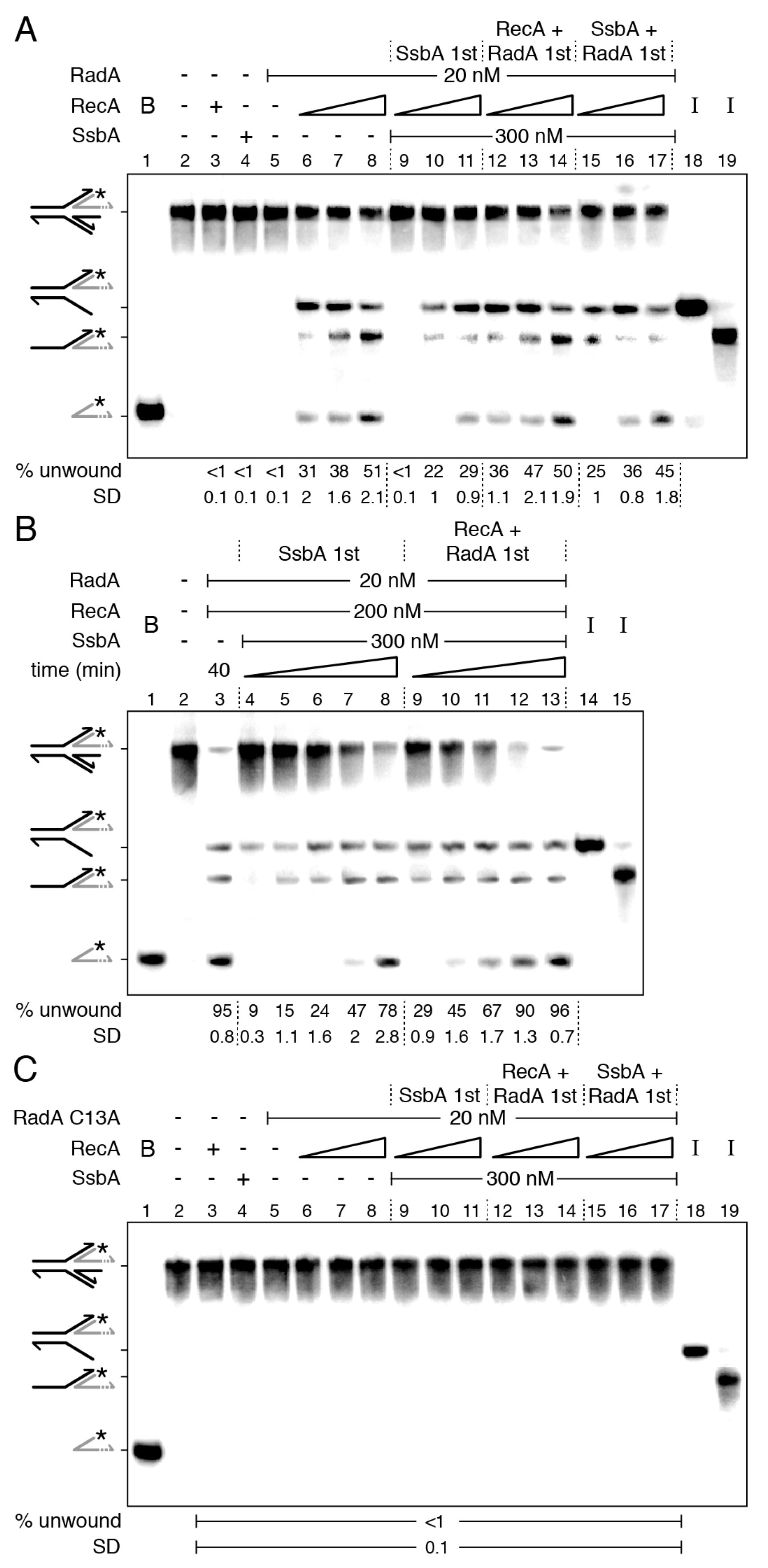 Ijms 24 04536 g003 Ijms 24 04536 g003