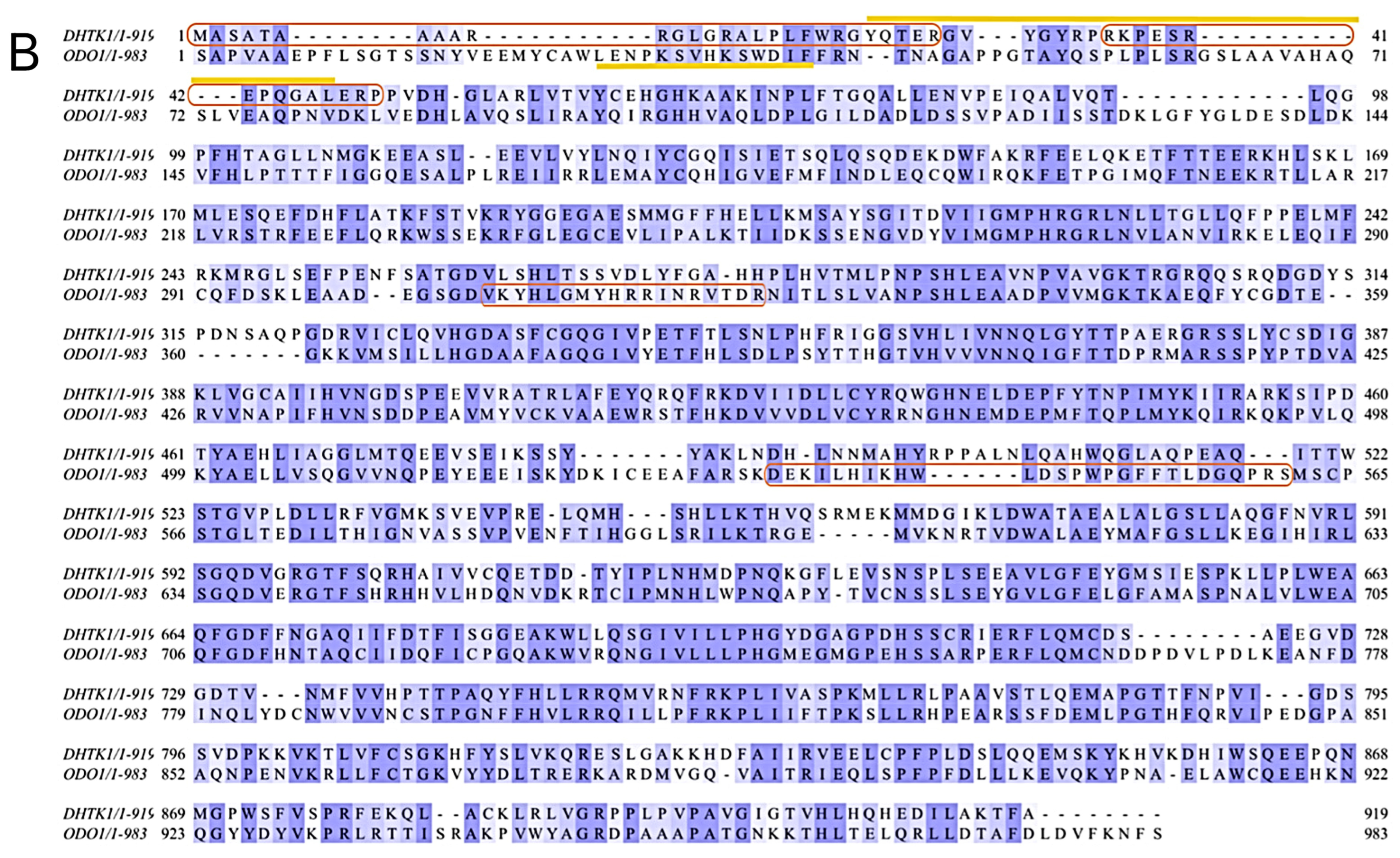 Ijms 24 04555 g001b Ijms 24 04555 g001b