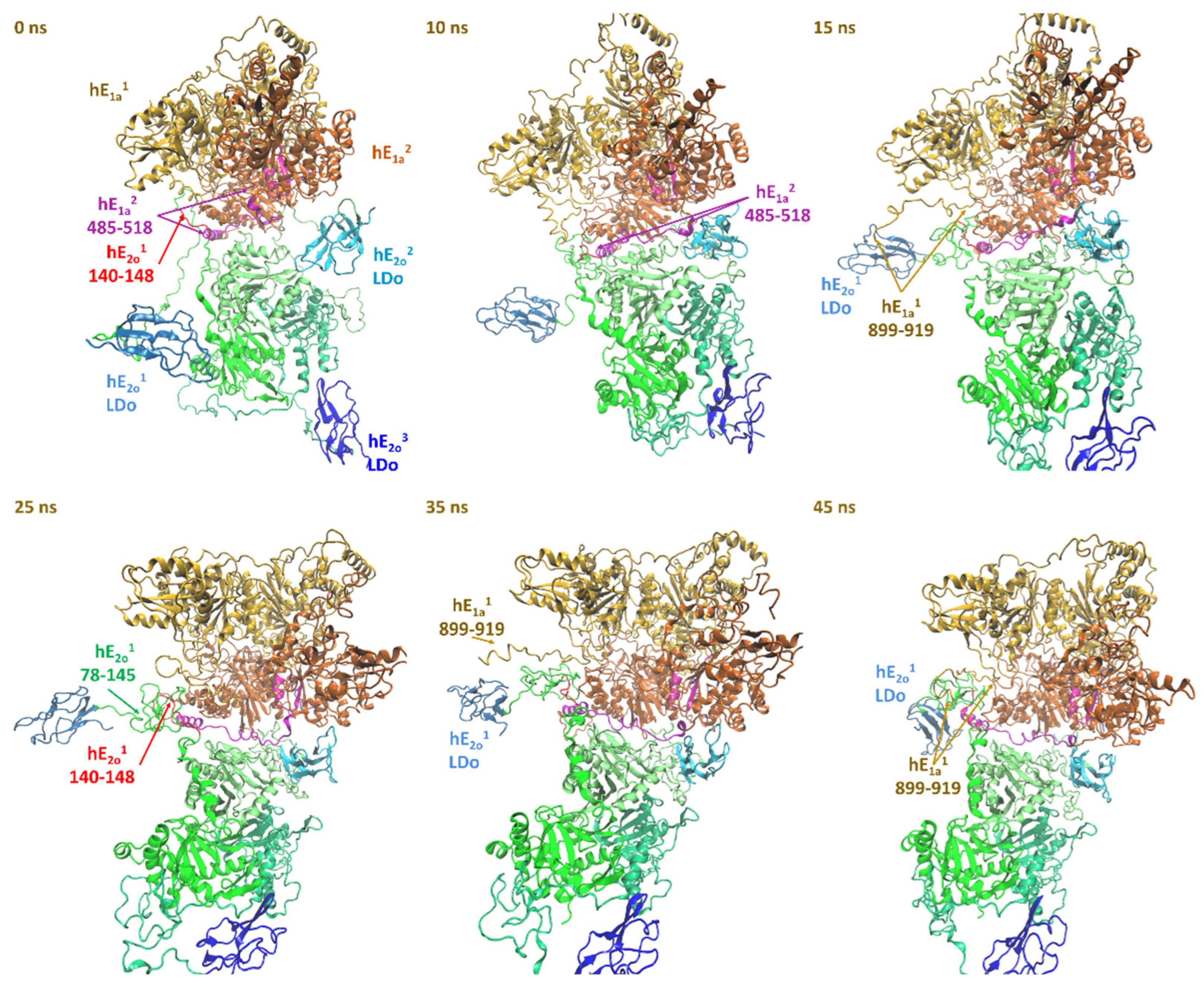 Ijms 24 04555 g004 Ijms 24 04555 g004