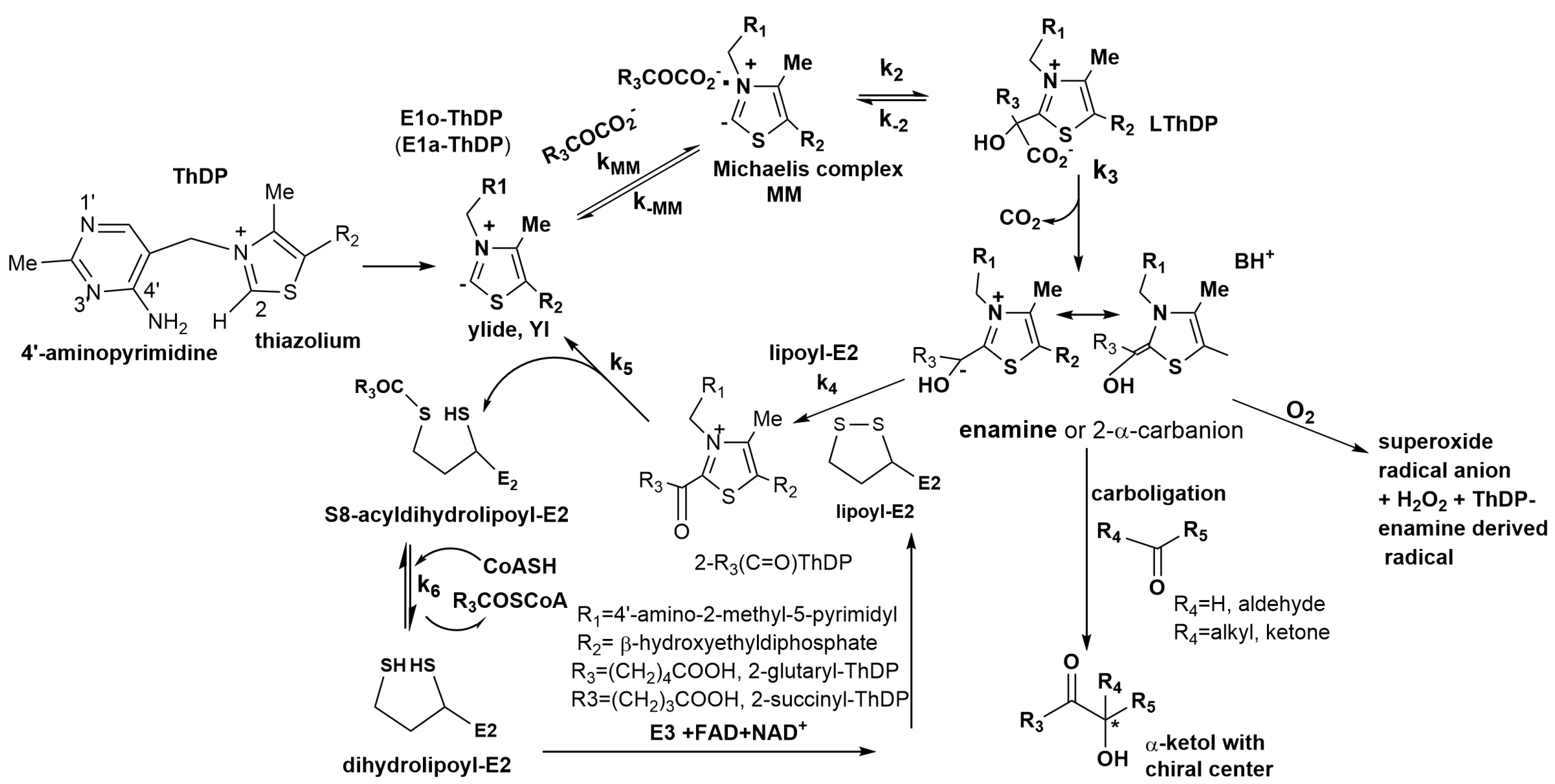 Ijms 24 04555 sch001 Ijms 24 04555 sch001