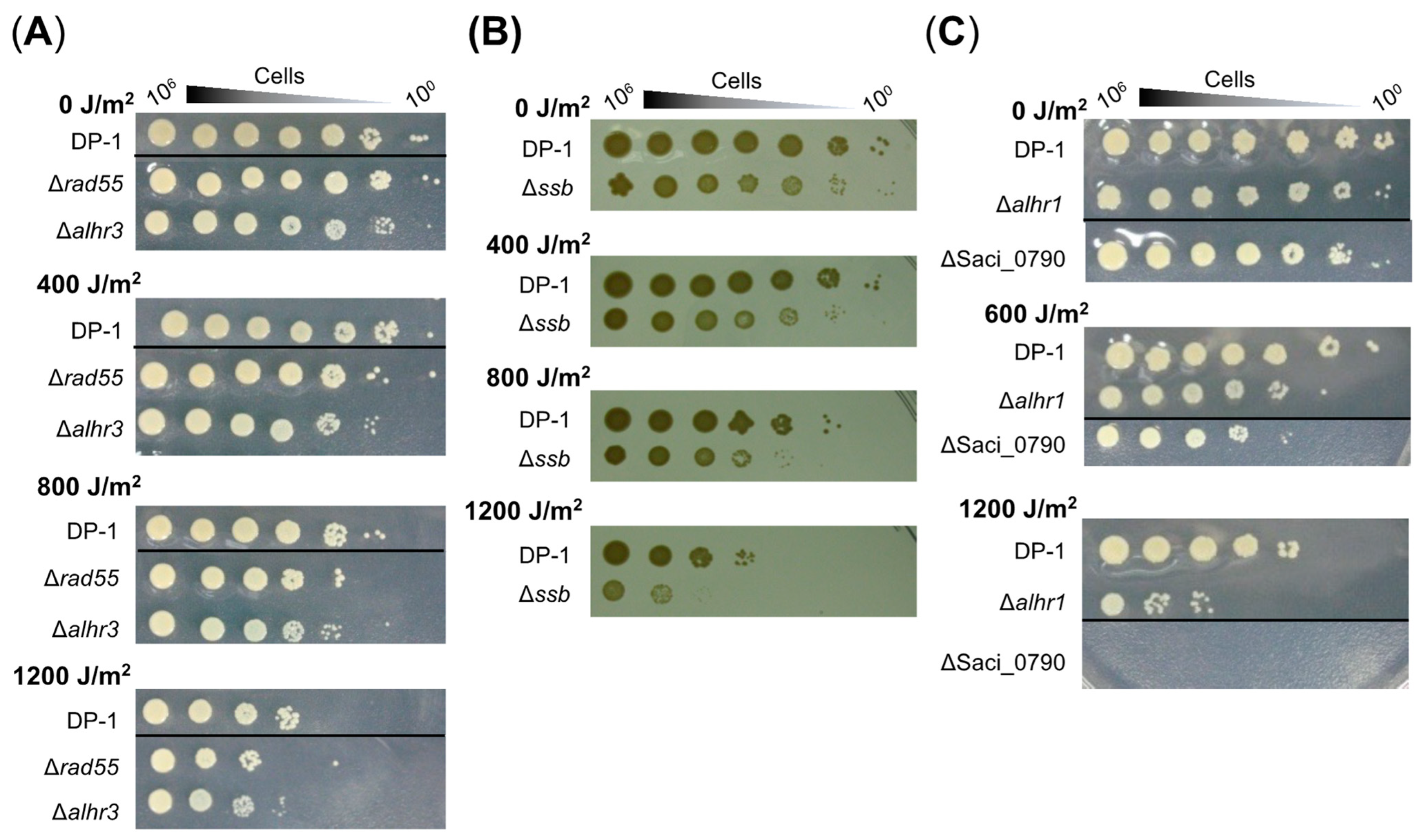 Ijms 24 04558 g003 Ijms 24 04558 g003