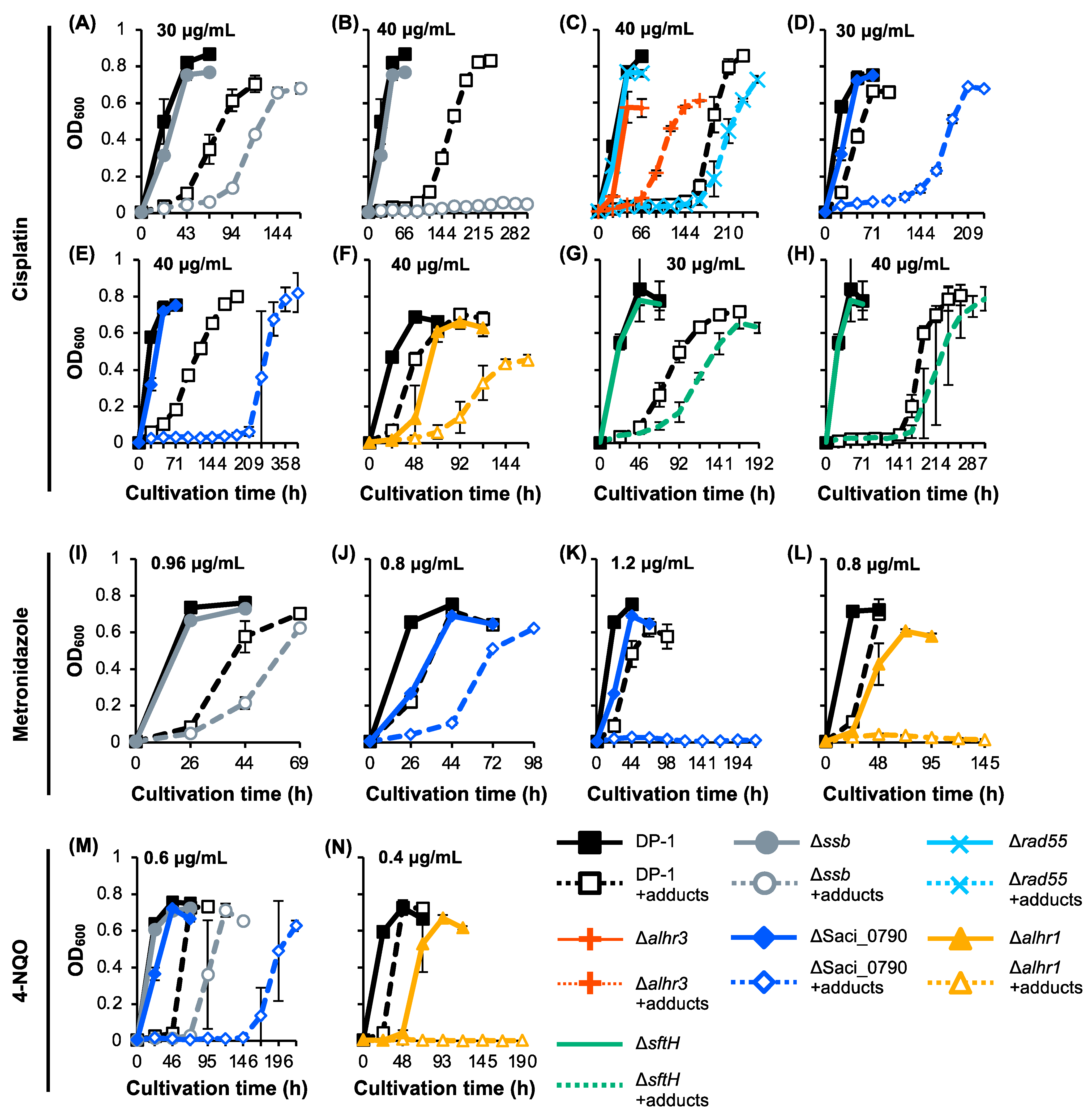 Ijms 24 04558 g005 Ijms 24 04558 g005