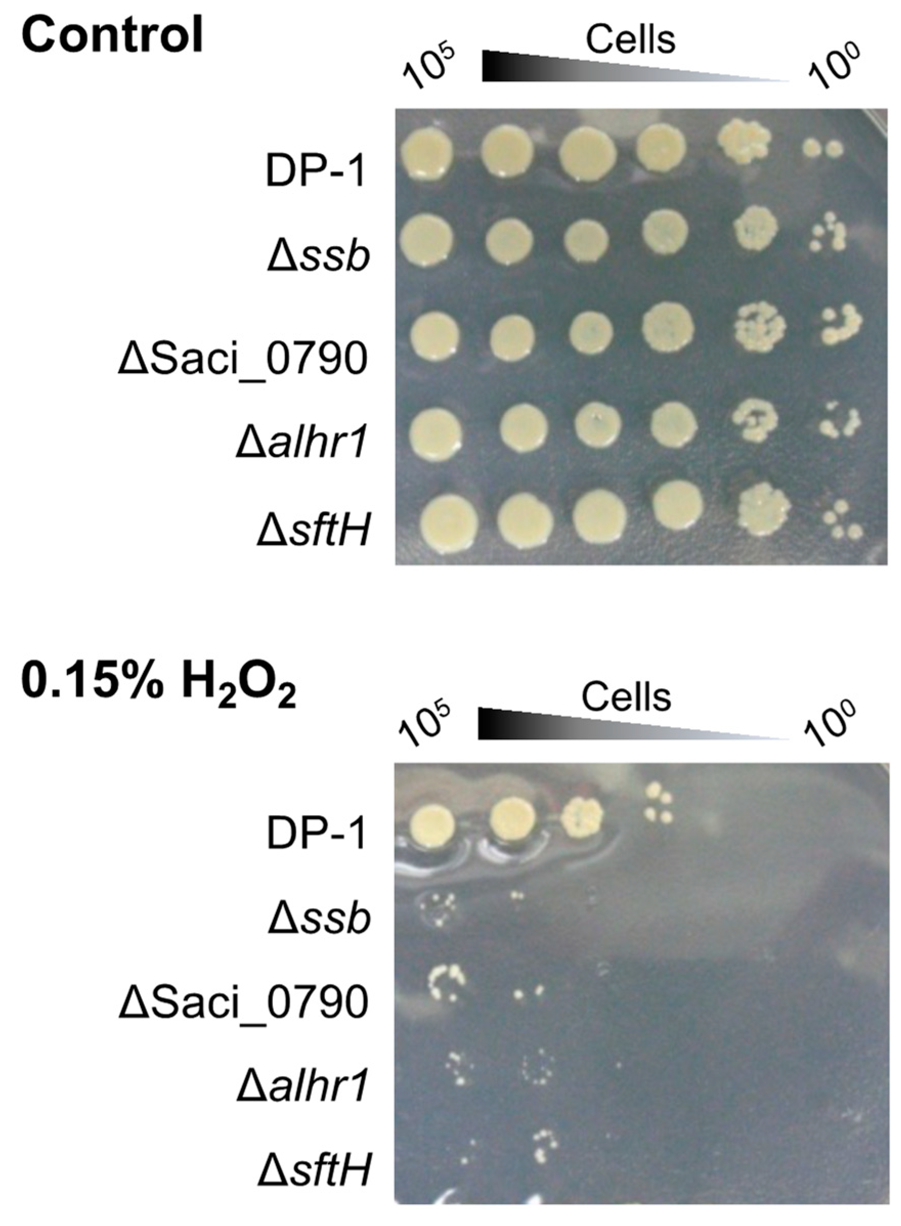 Ijms 24 04558 g006 Ijms 24 04558 g006