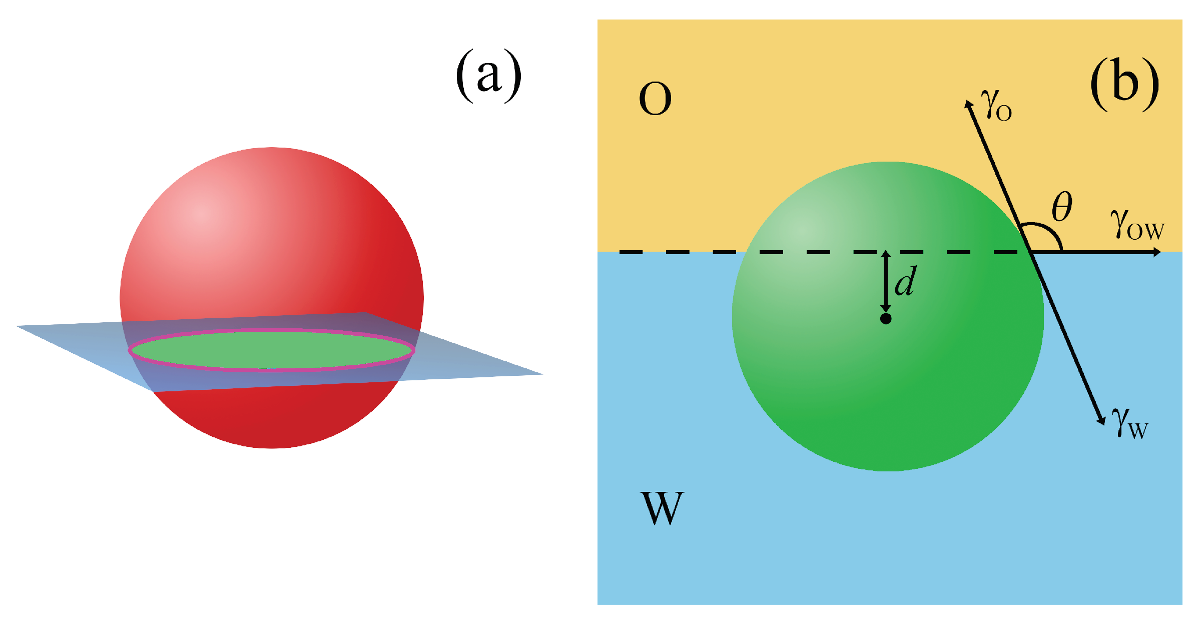 Ijms 24 04564 g001 Ijms 24 04564 g001