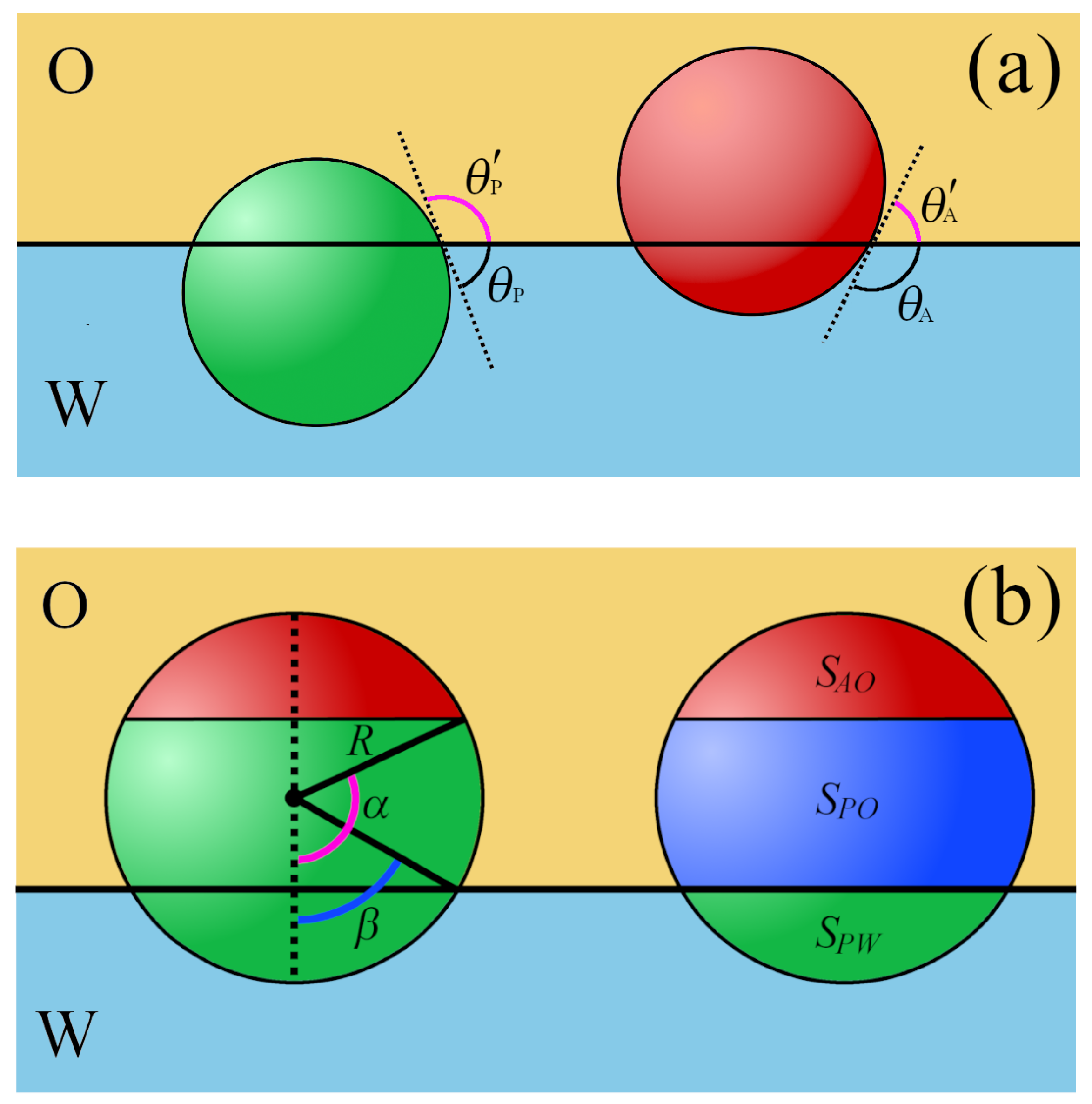 Ijms 24 04564 g002 Ijms 24 04564 g002