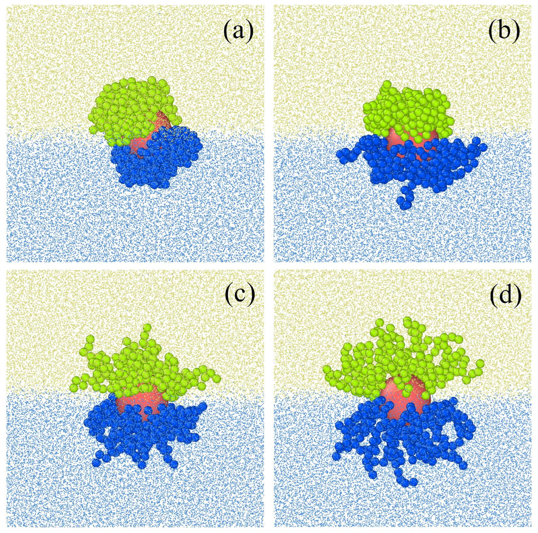 Ijms 24 04564 g006 Ijms 24 04564 g006
