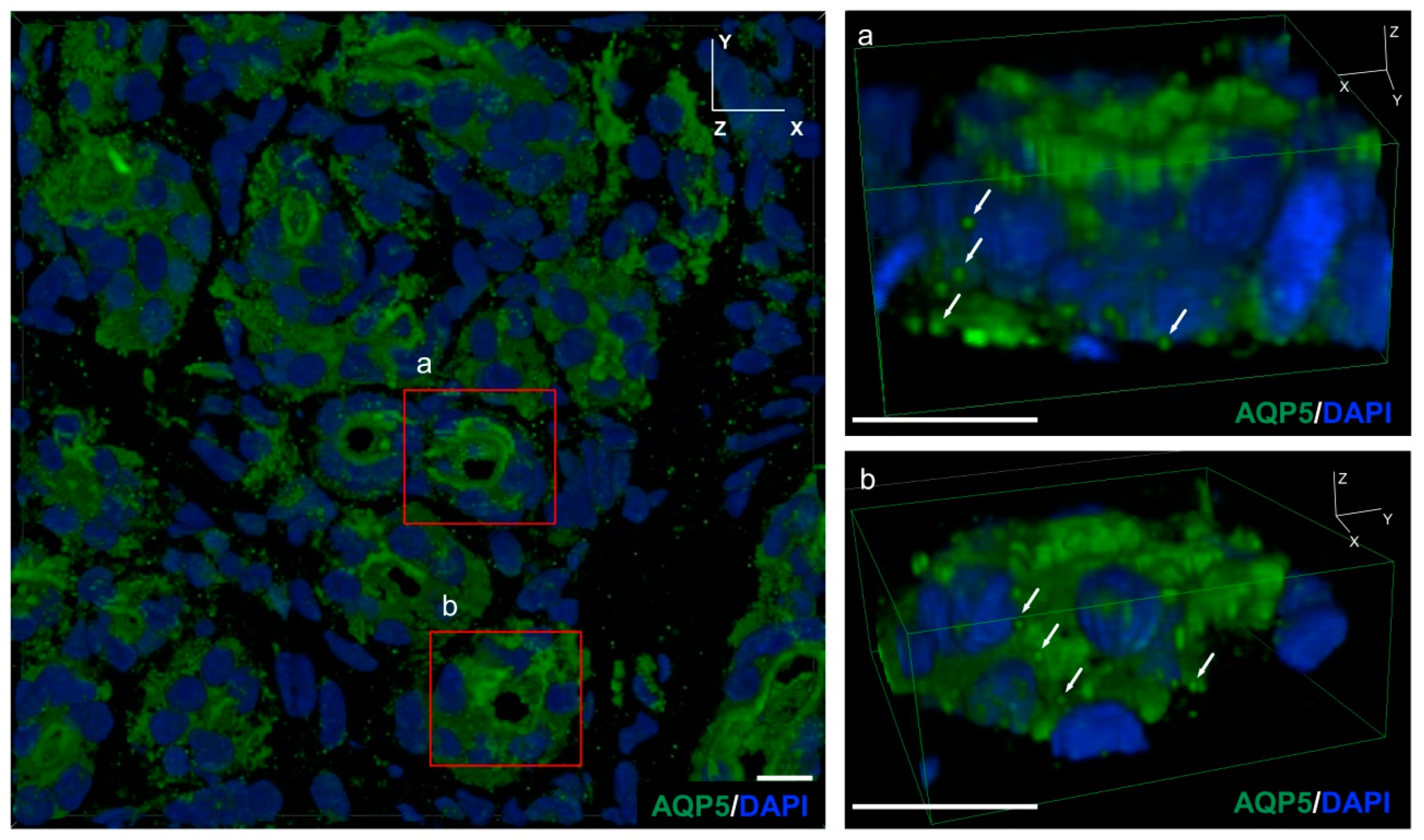 Ijms 24 04572 g002 Ijms 24 04572 g002