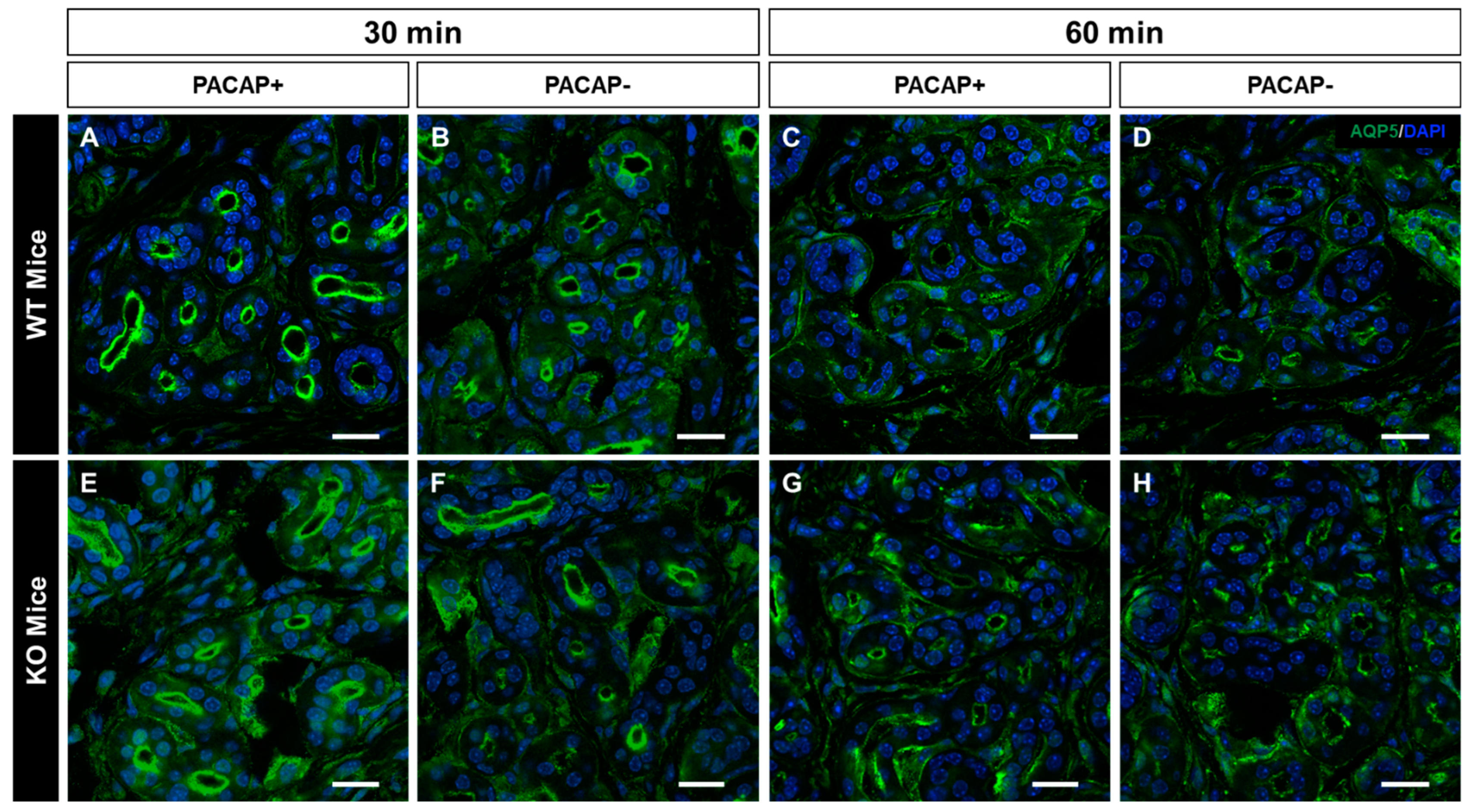 Ijms 24 04572 g003 Ijms 24 04572 g003