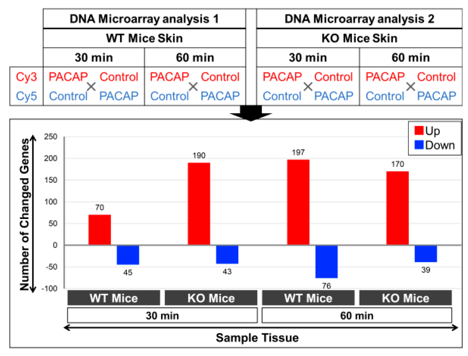 Ijms 24 04572 g004 Ijms 24 04572 g004