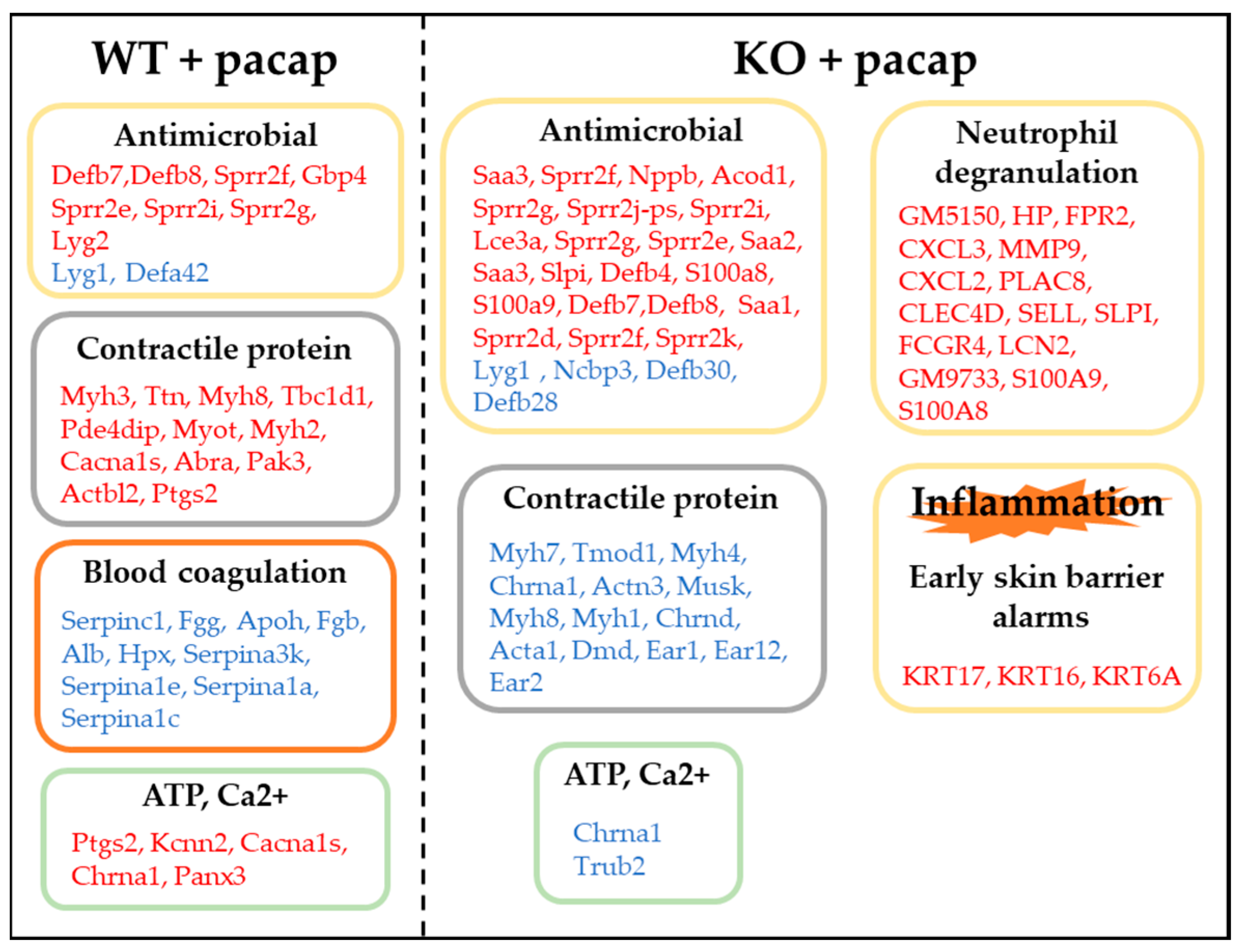 Ijms 24 04572 g006 Ijms 24 04572 g006