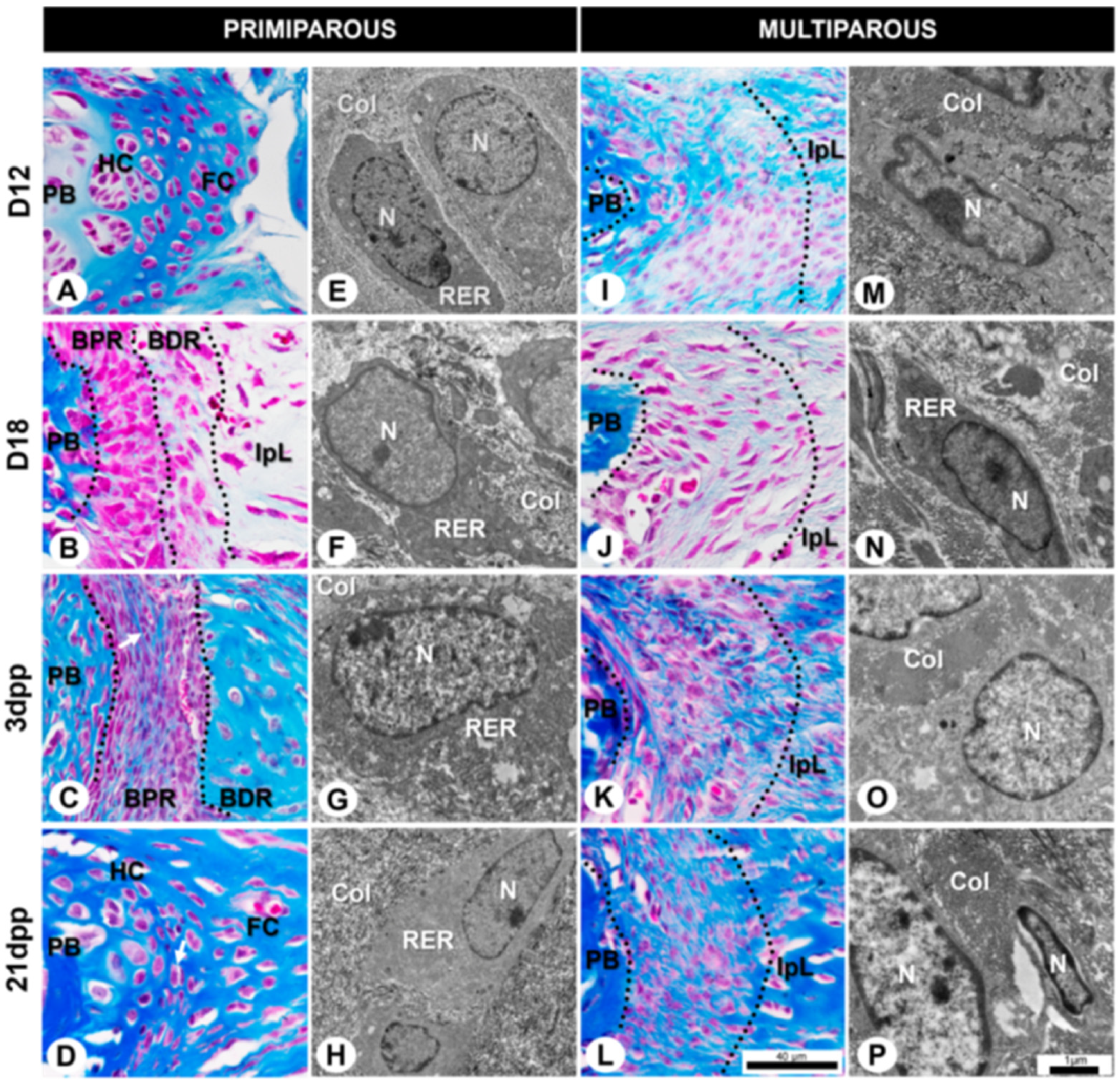 Ijms 24 04573 g001 Ijms 24 04573 g001