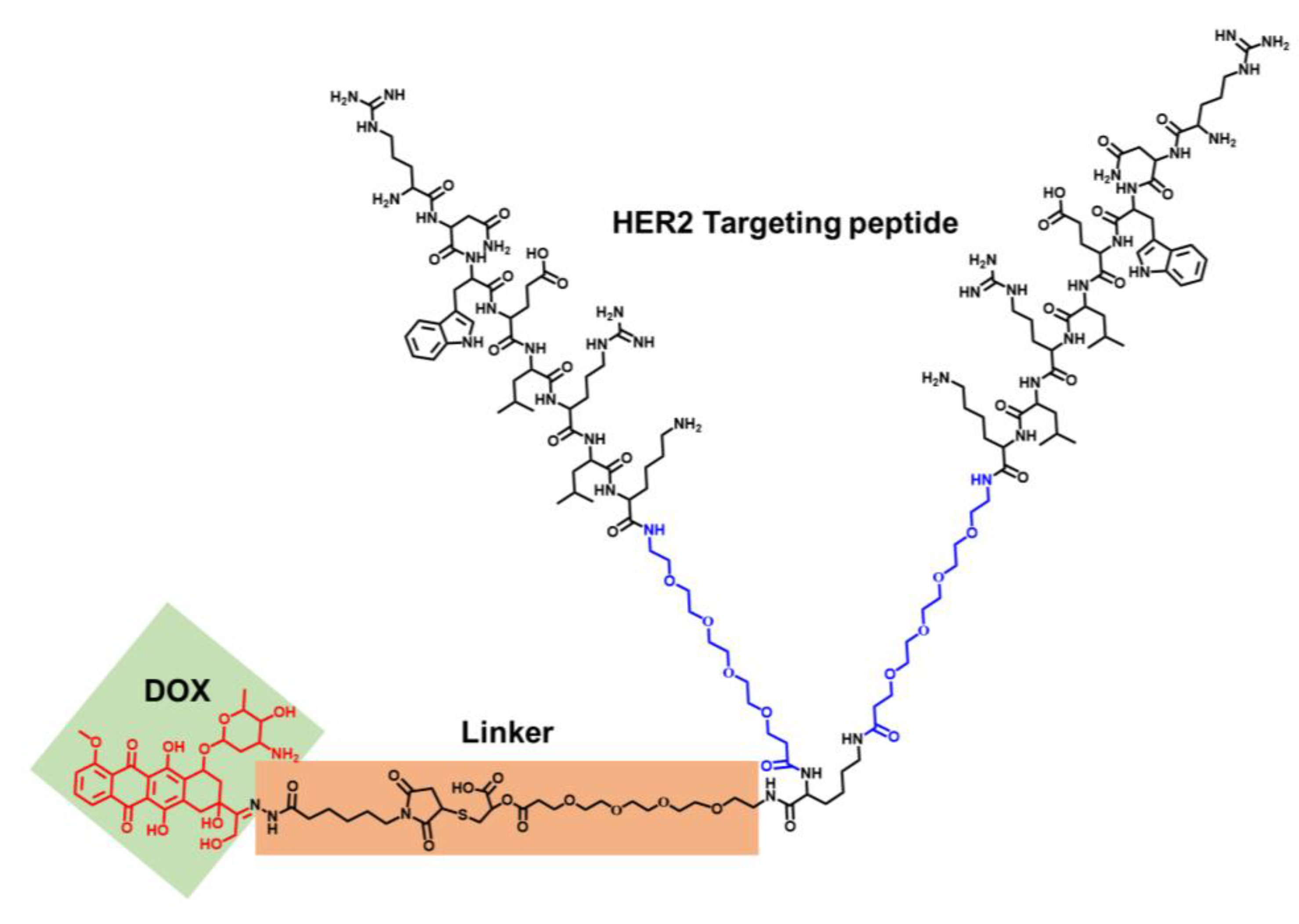 Ijms 24 04590 g001 Ijms 24 04590 g001