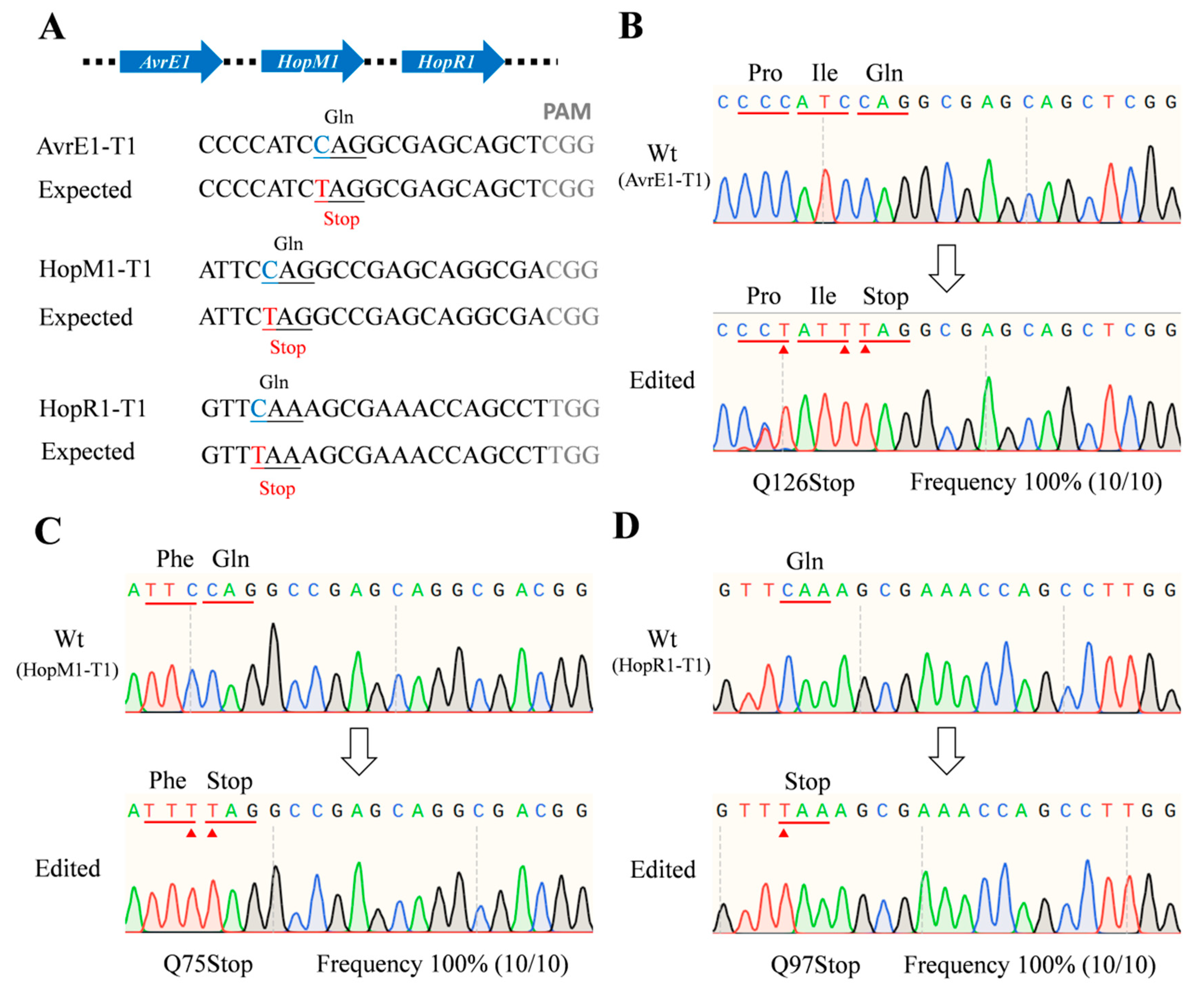 Ijms 24 04597 g003 Ijms 24 04597 g003