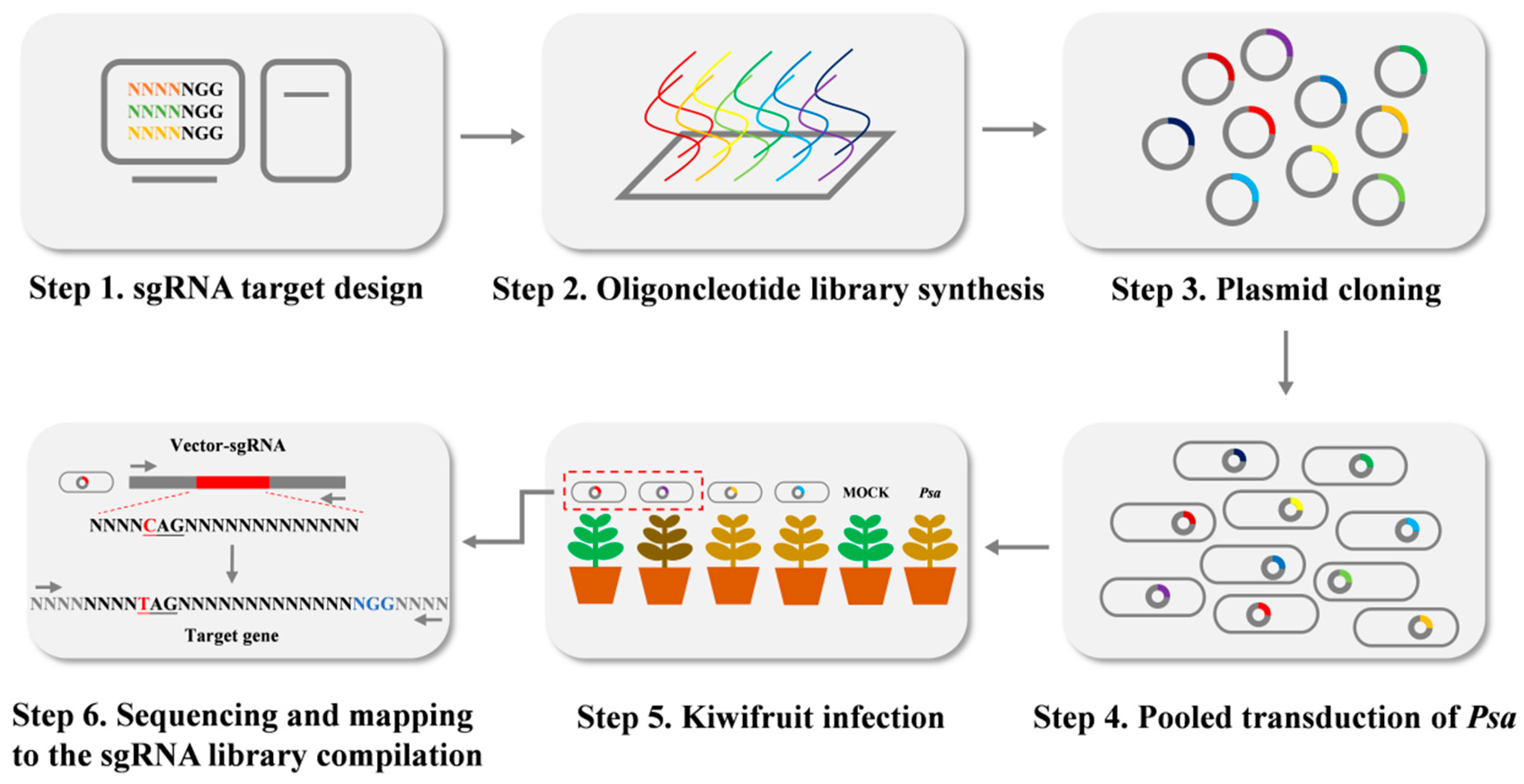 Ijms 24 04597 g006 Ijms 24 04597 g006