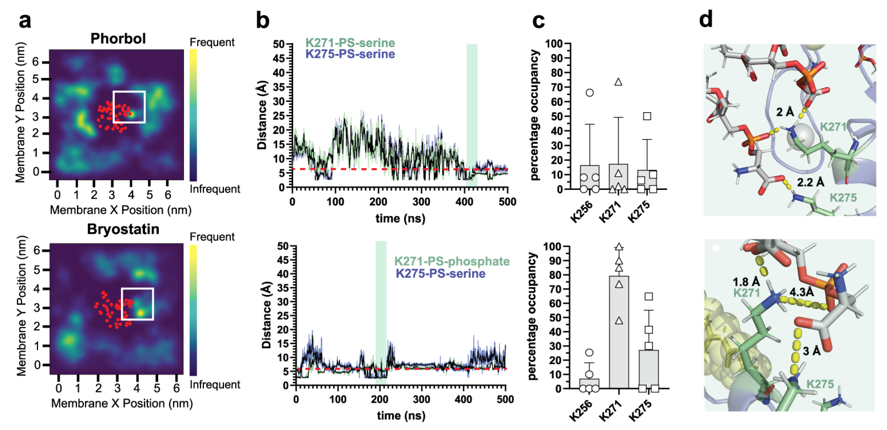 Ijms 24 04598 g001 Ijms 24 04598 g001