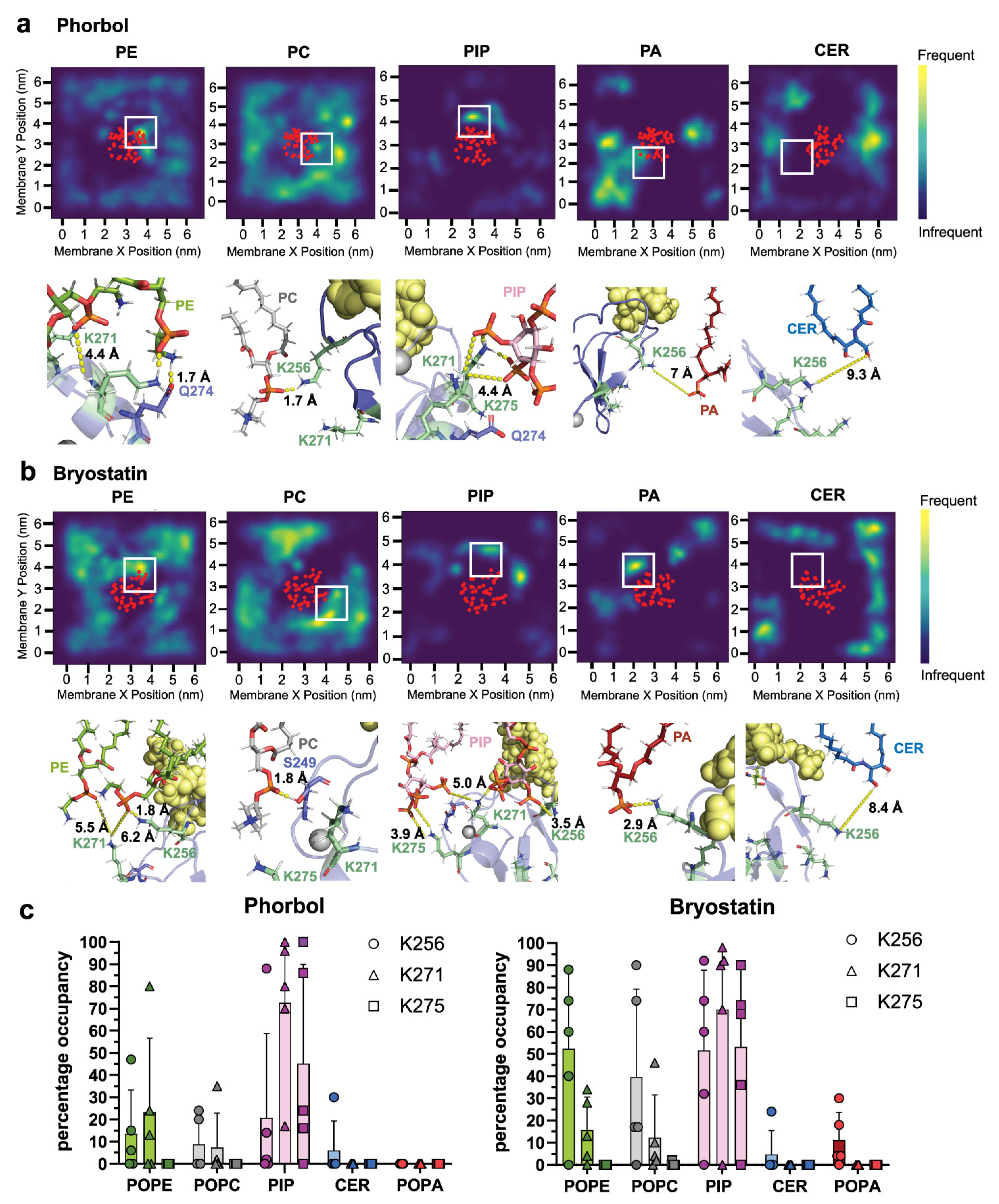 Ijms 24 04598 g002 Ijms 24 04598 g002