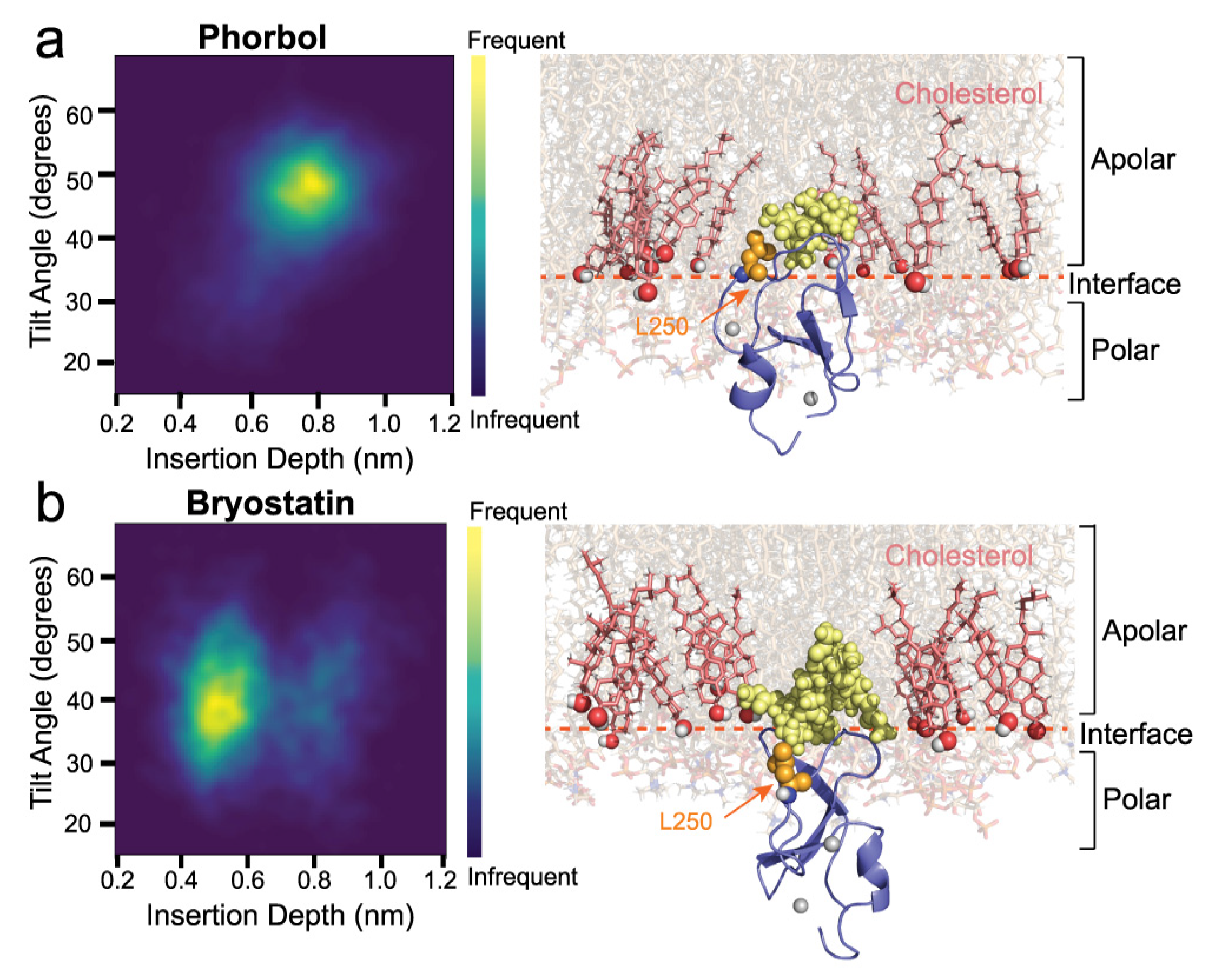 Ijms 24 04598 g004 Ijms 24 04598 g004