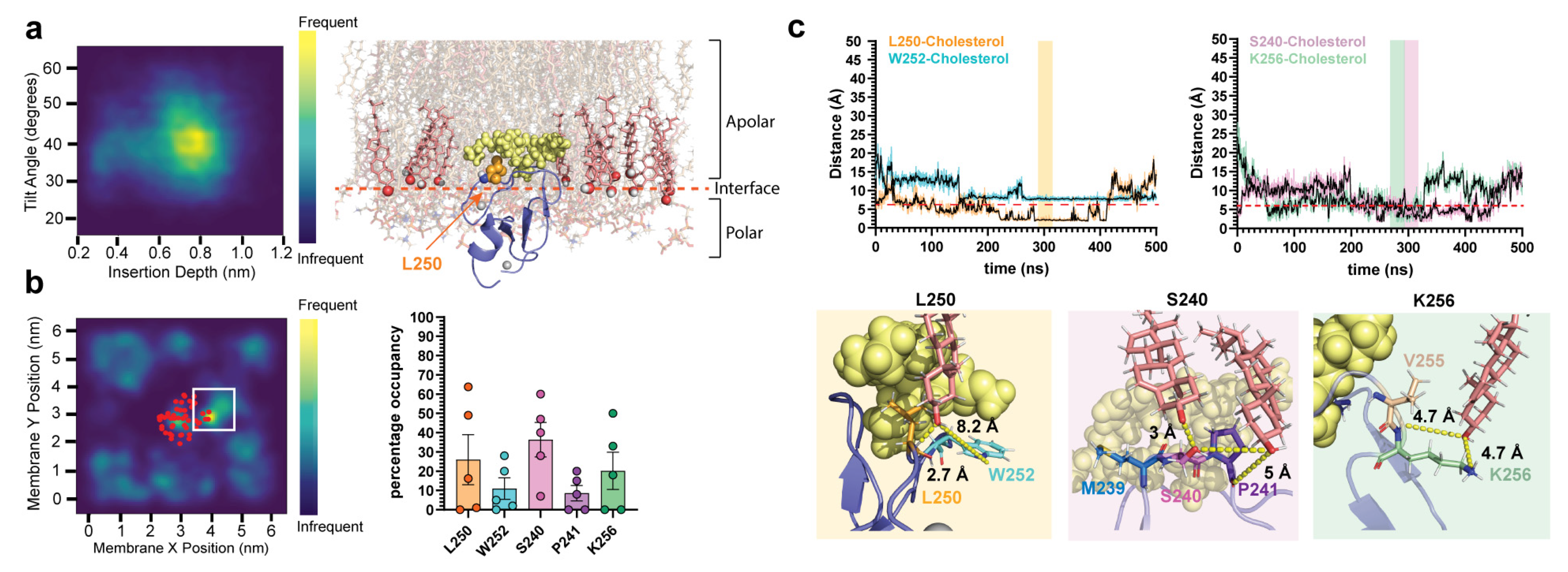 Ijms 24 04598 g006 Ijms 24 04598 g006