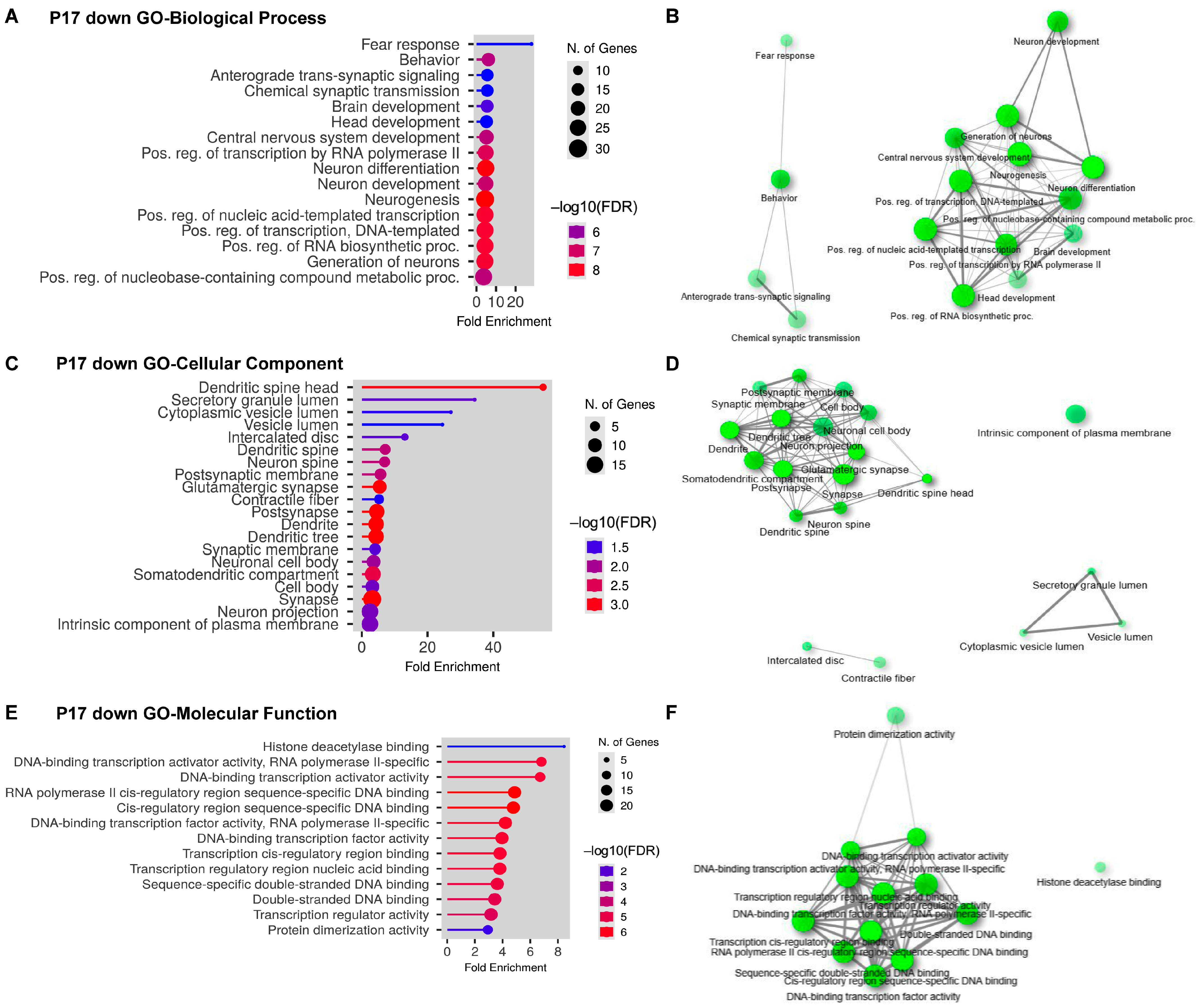Ijms 24 04600 g004 Ijms 24 04600 g004
