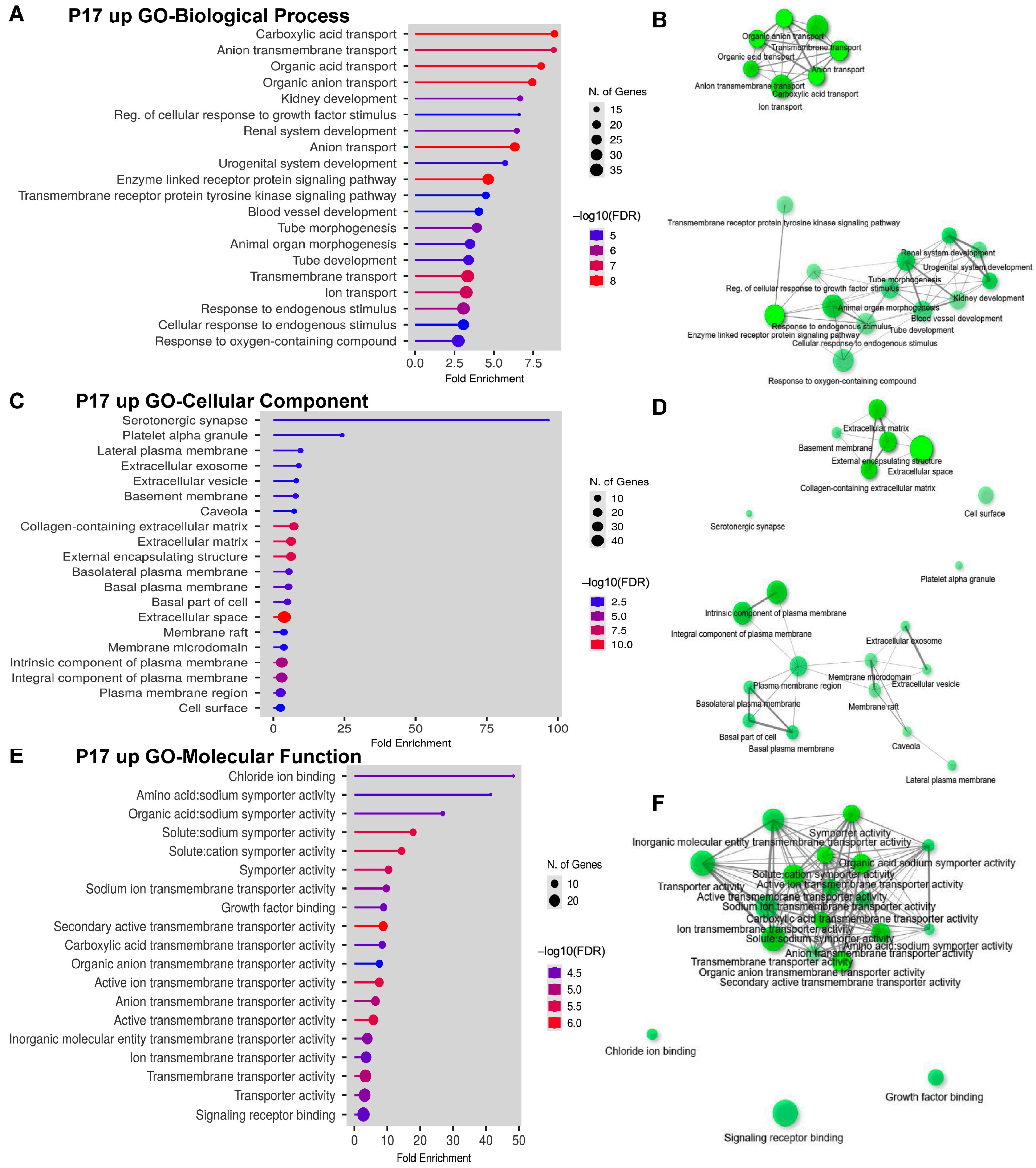 Ijms 24 04600 g005 Ijms 24 04600 g005