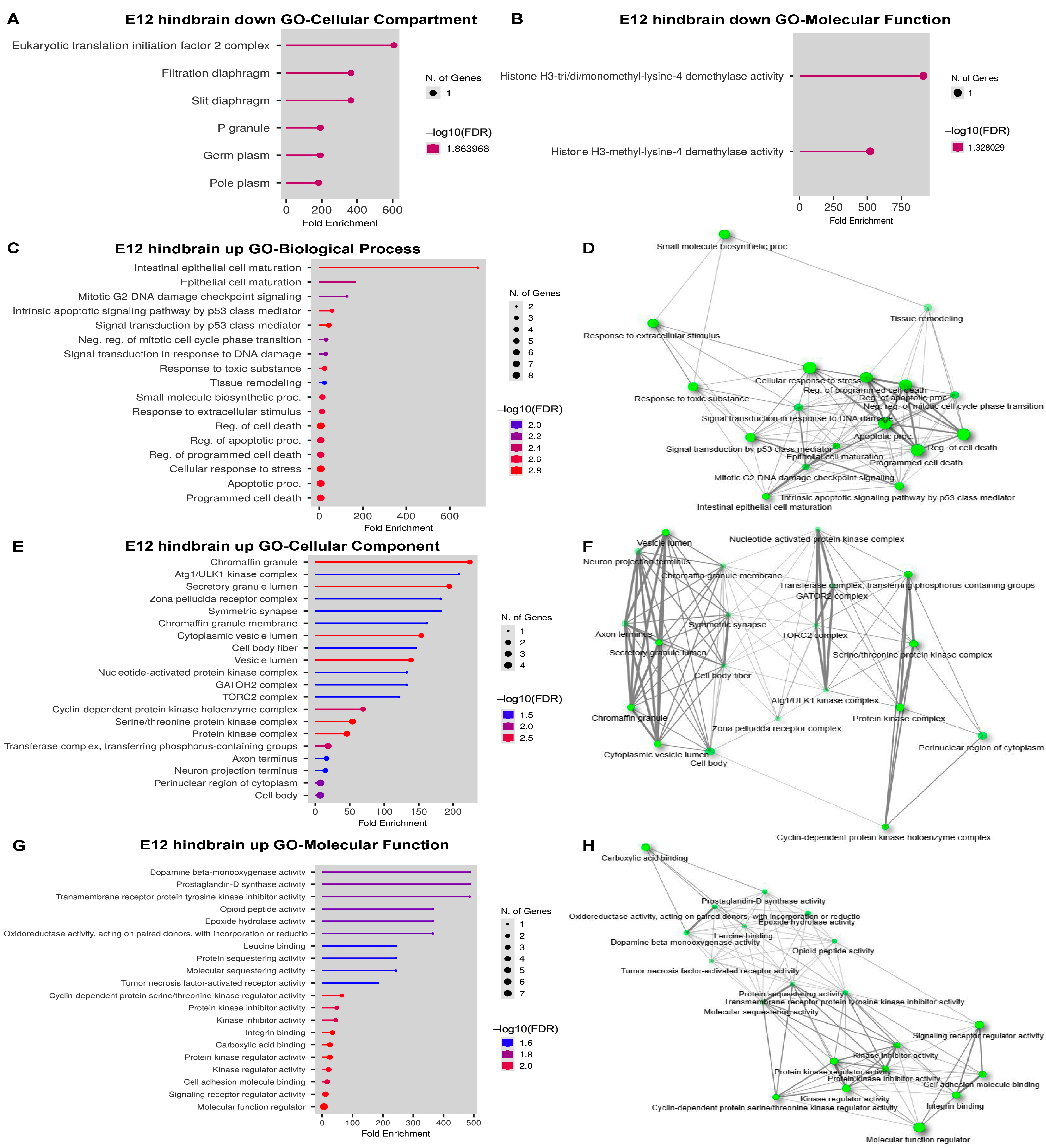 Ijms 24 04600 g008 Ijms 24 04600 g008