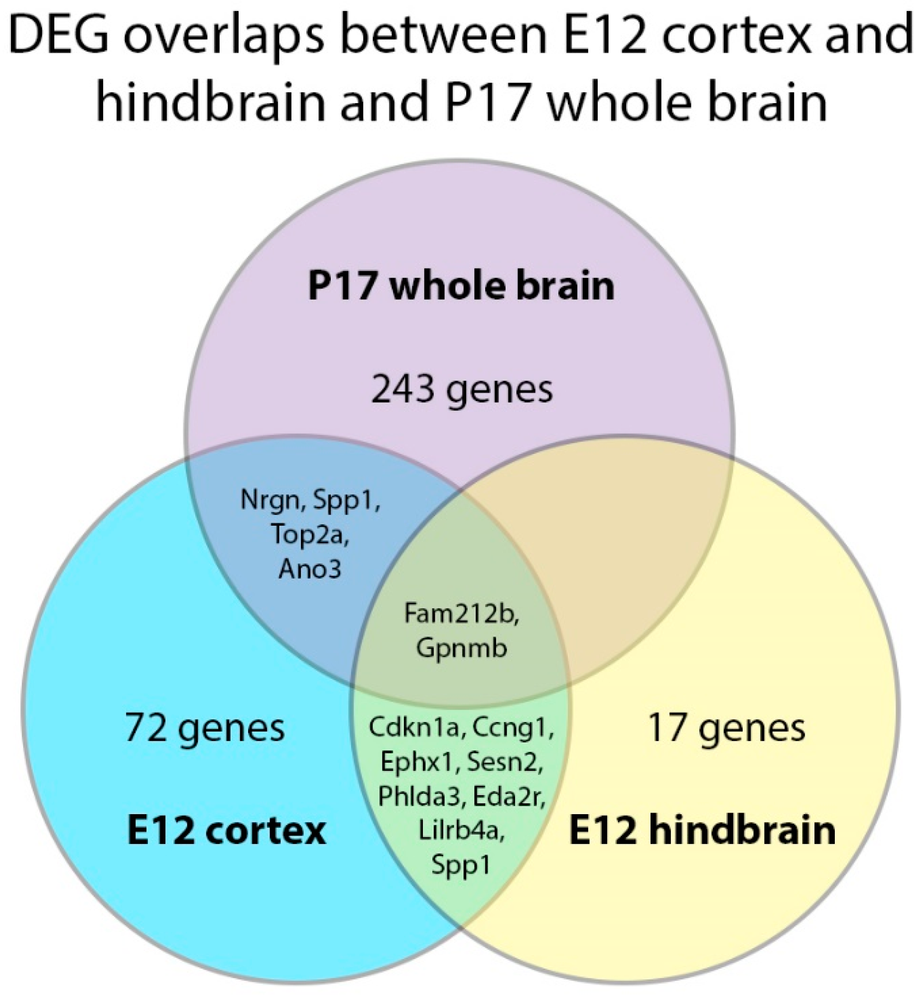 Ijms 24 04600 g009 Ijms 24 04600 g009