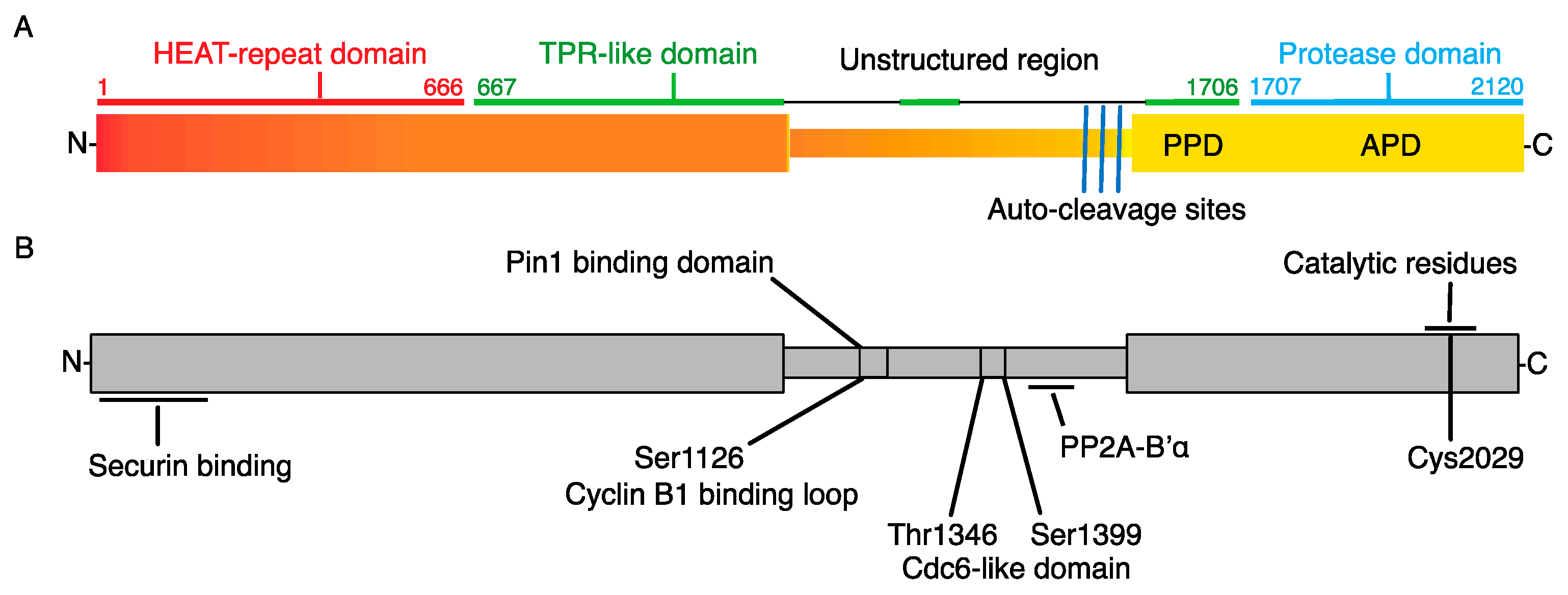 Ijms 24 04604 g002 Ijms 24 04604 g002
