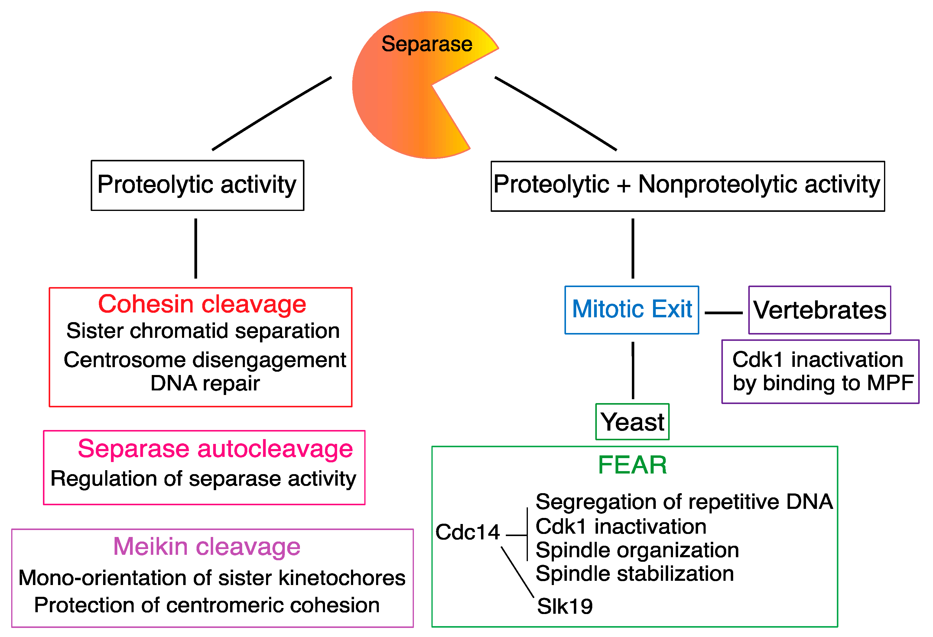 Ijms 24 04604 g004 Ijms 24 04604 g004