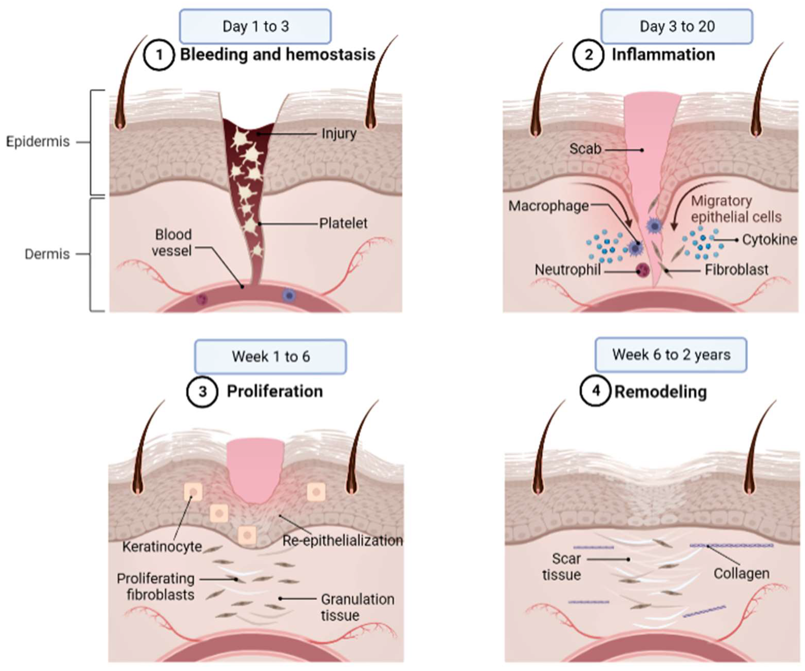Ijms 24 04607 g001 Ijms 24 04607 g001