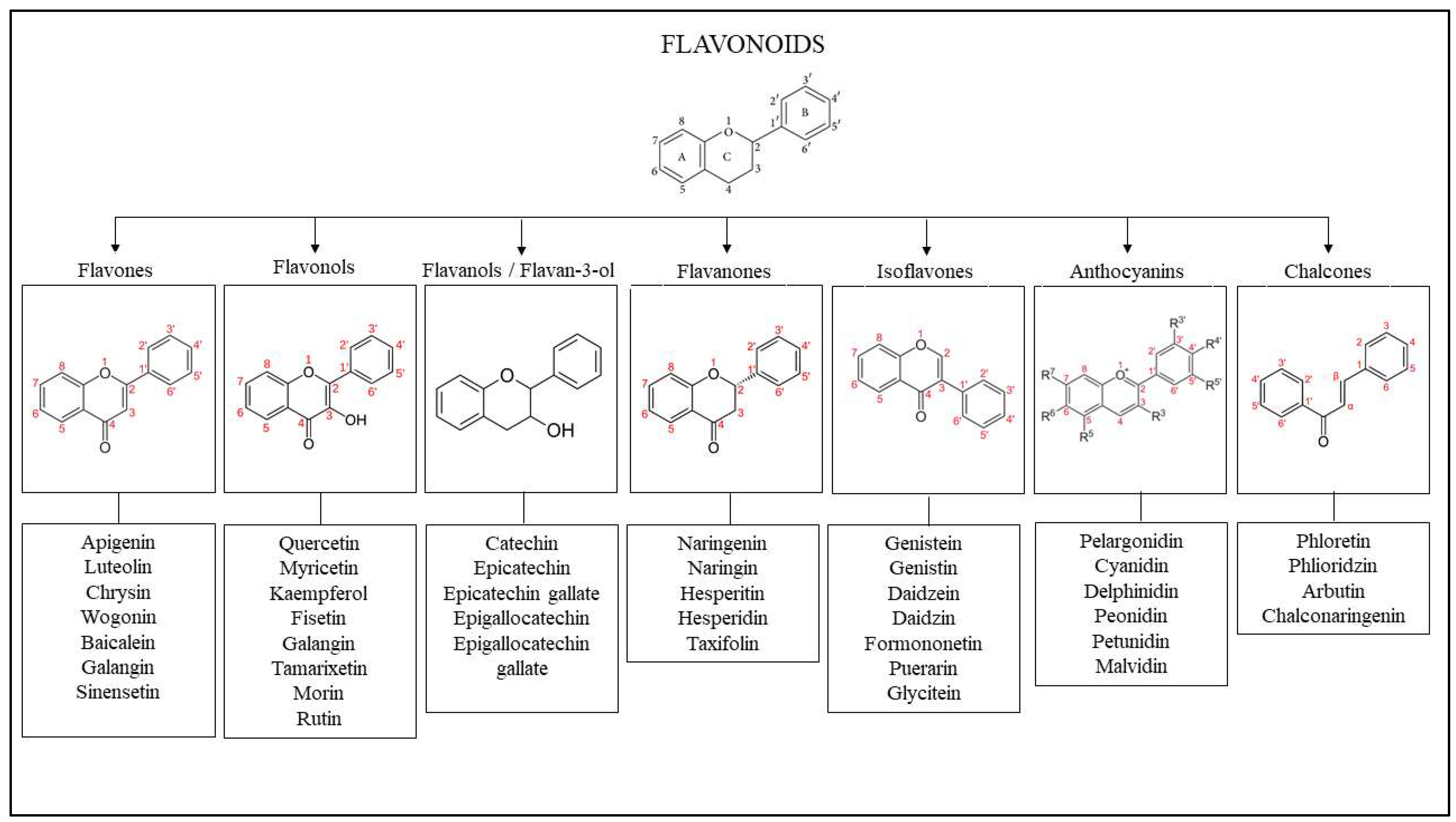 Ijms 24 04607 g003 Ijms 24 04607 g003