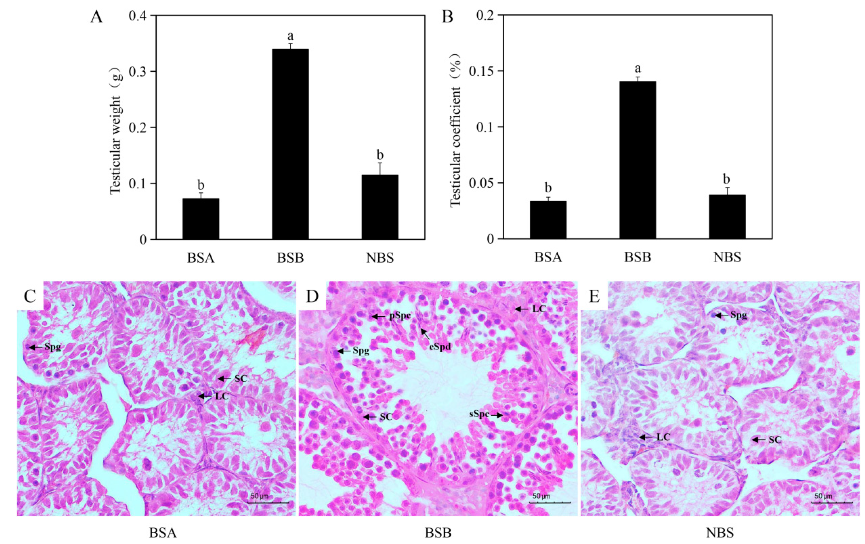 Ijms 24 04611 g001 Ijms 24 04611 g001