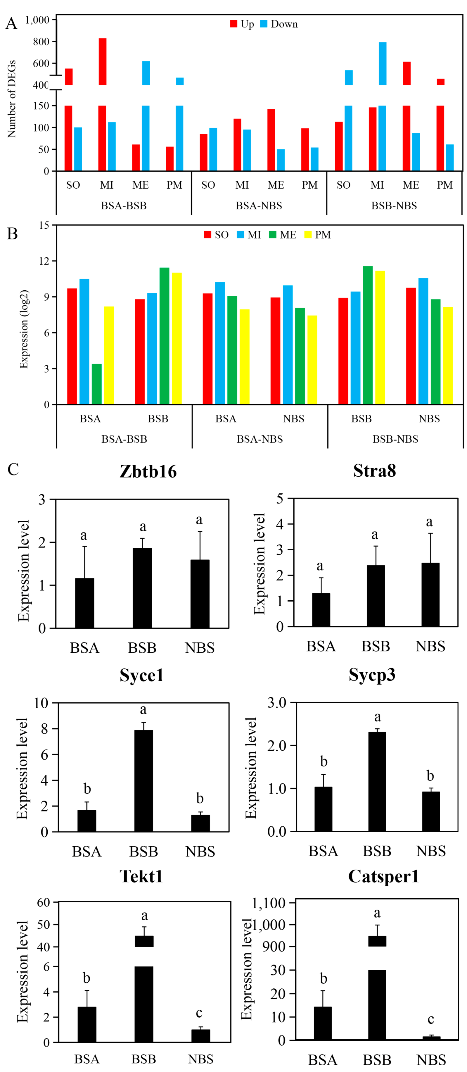 Ijms 24 04611 g005 Ijms 24 04611 g005