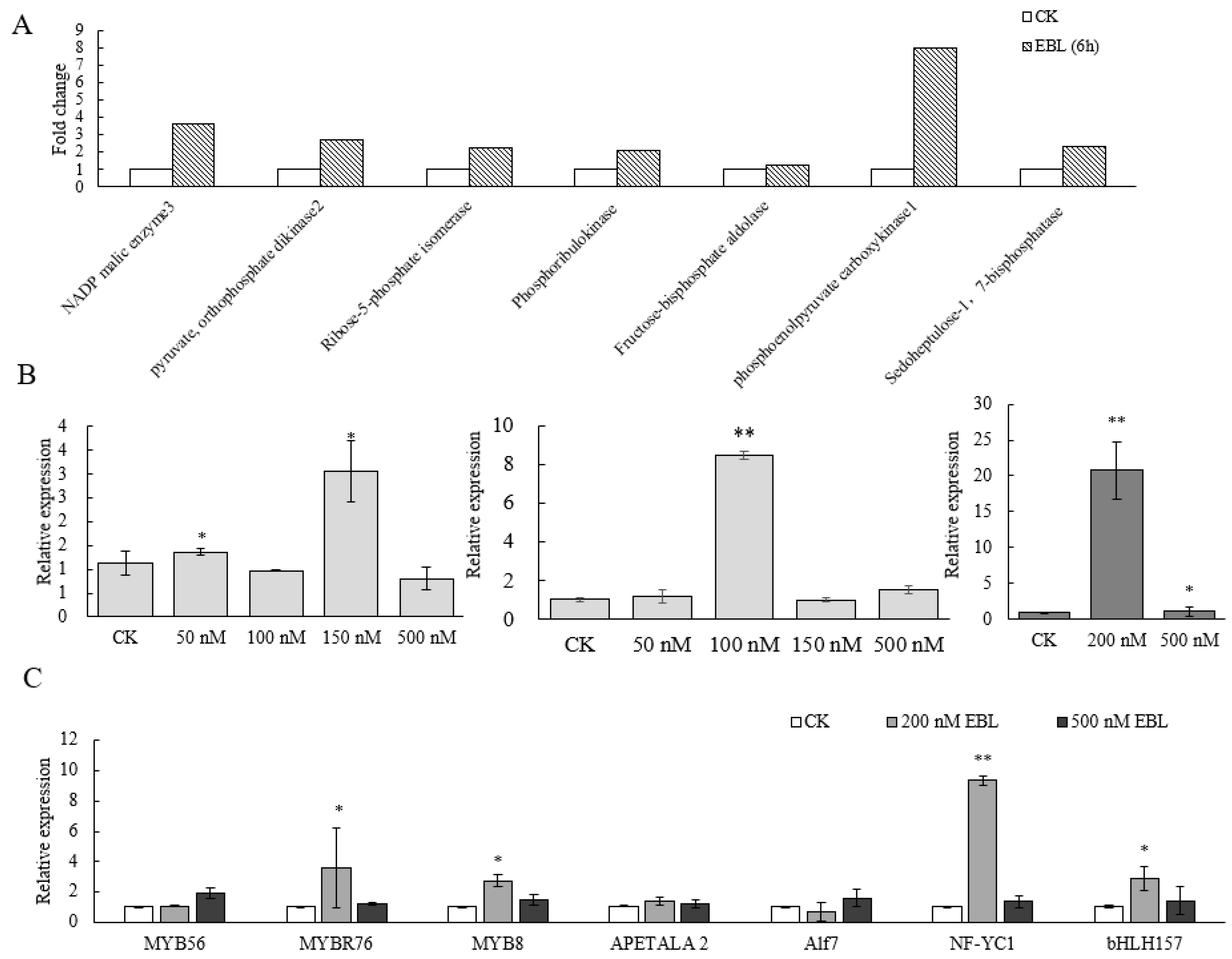 Ijms 24 04614 g002 Ijms 24 04614 g002