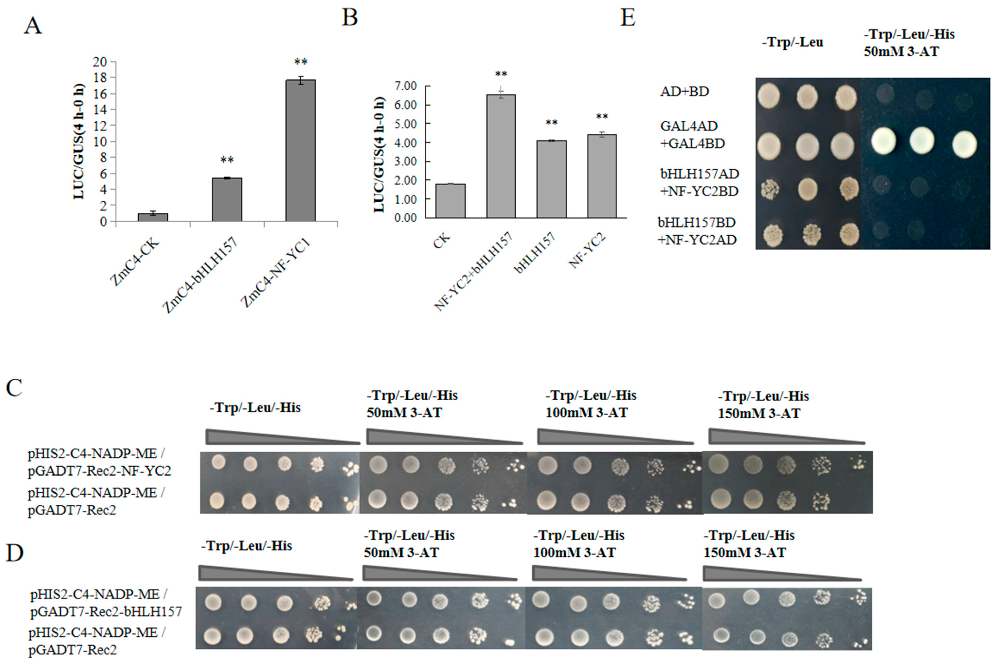Ijms 24 04614 g003 Ijms 24 04614 g003