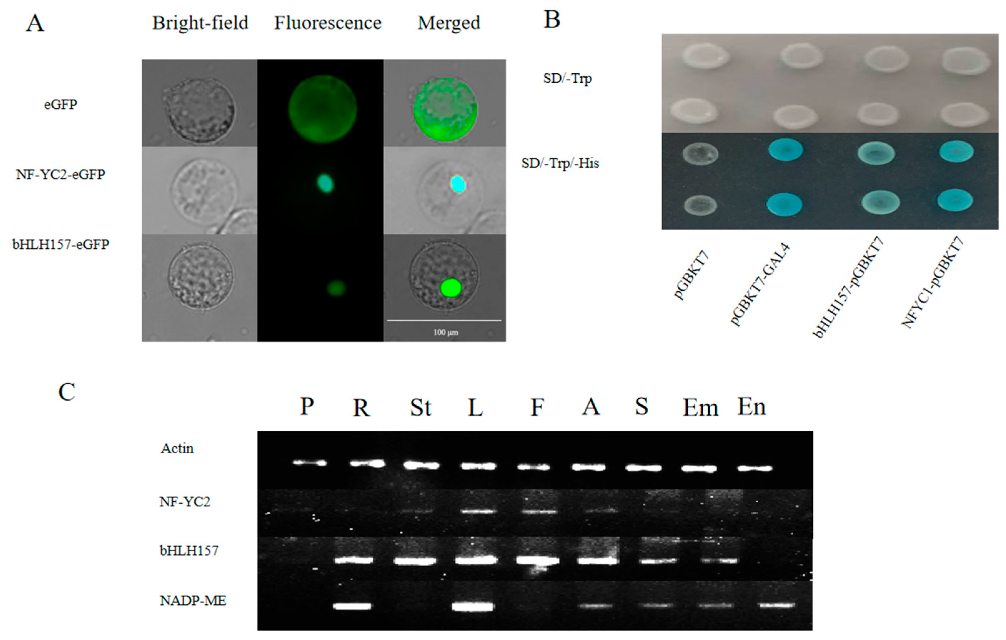 Ijms 24 04614 g004 Ijms 24 04614 g004