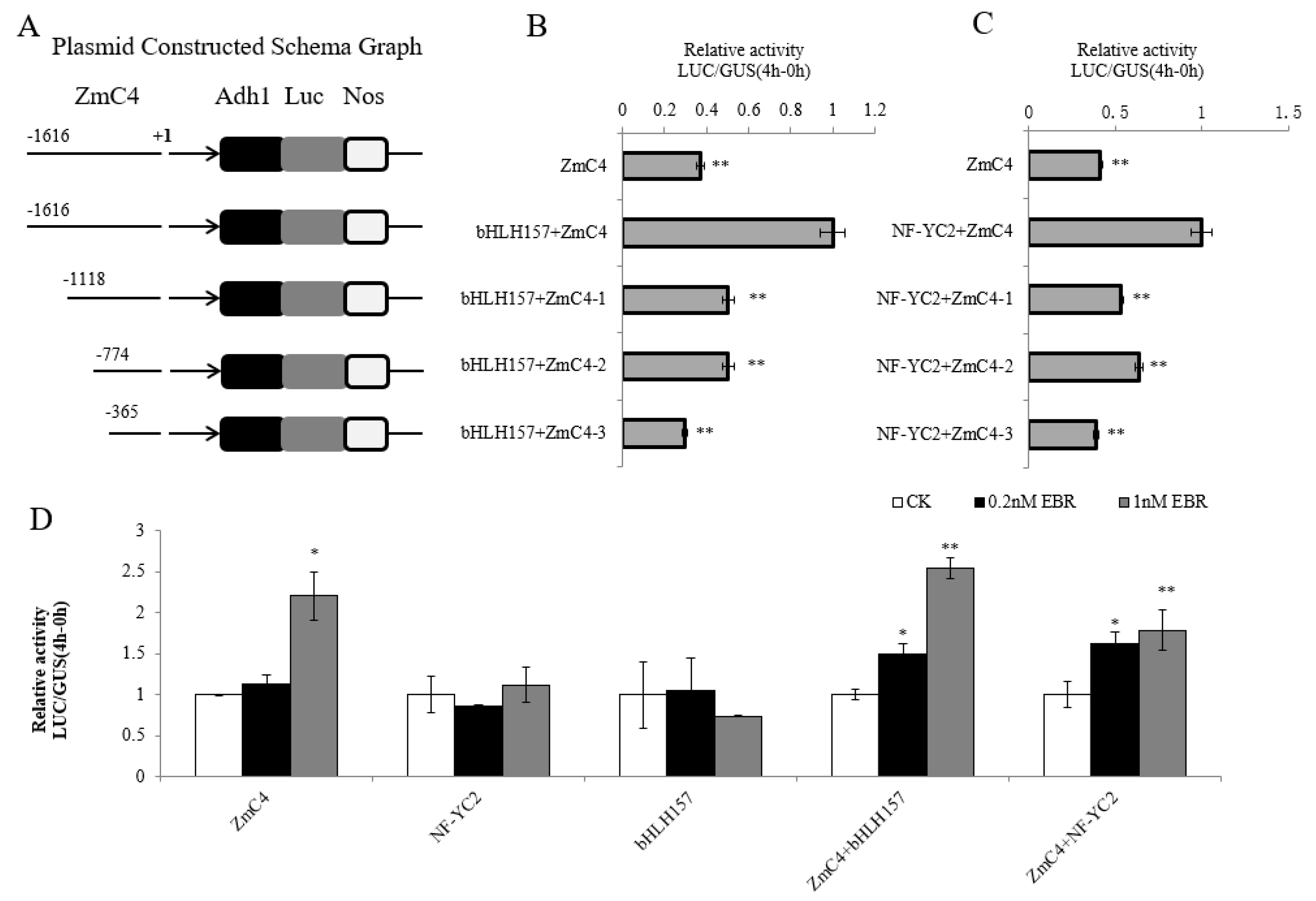 Ijms 24 04614 g005 Ijms 24 04614 g005