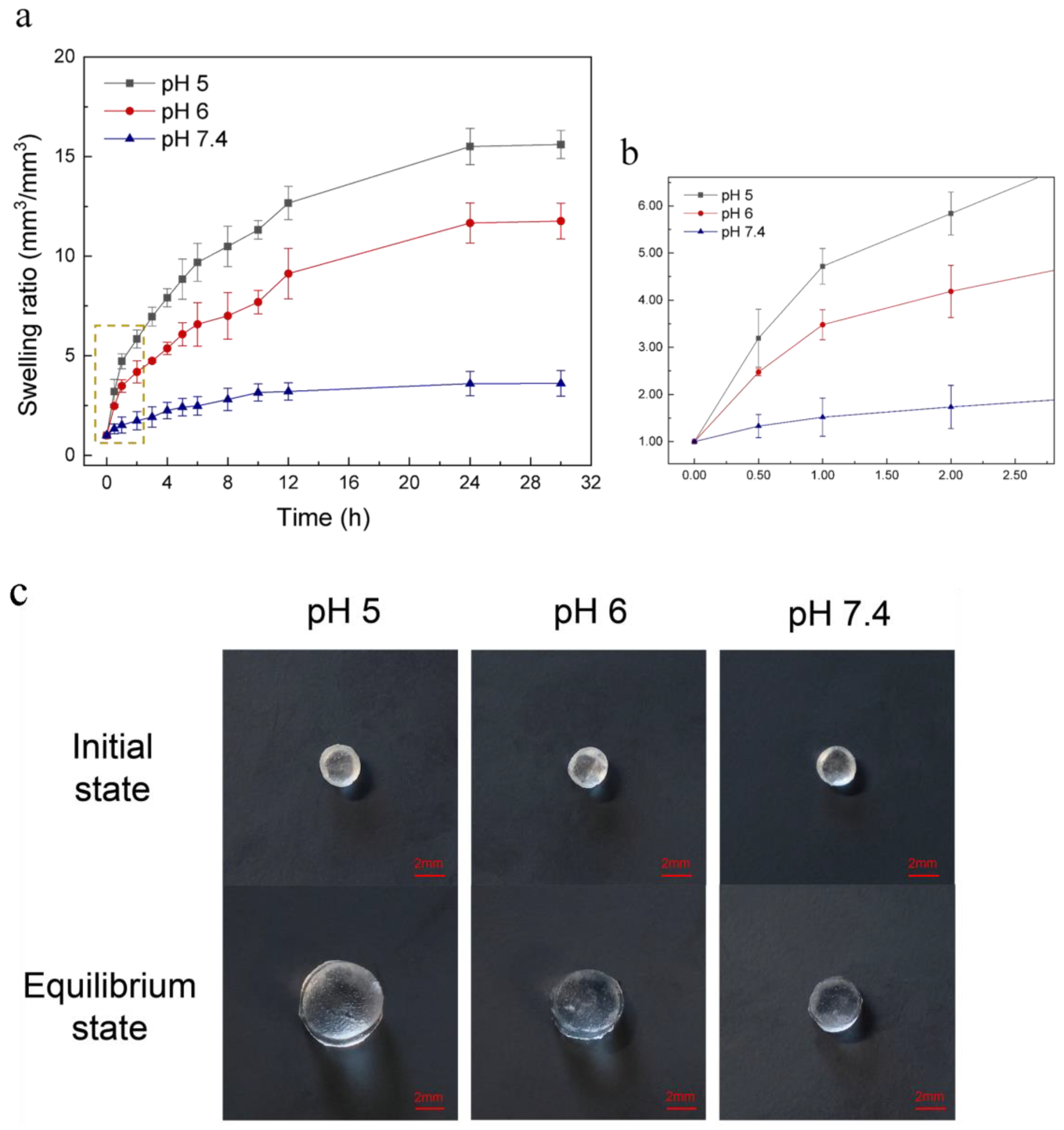 Ijms 24 04616 g002 Ijms 24 04616 g002