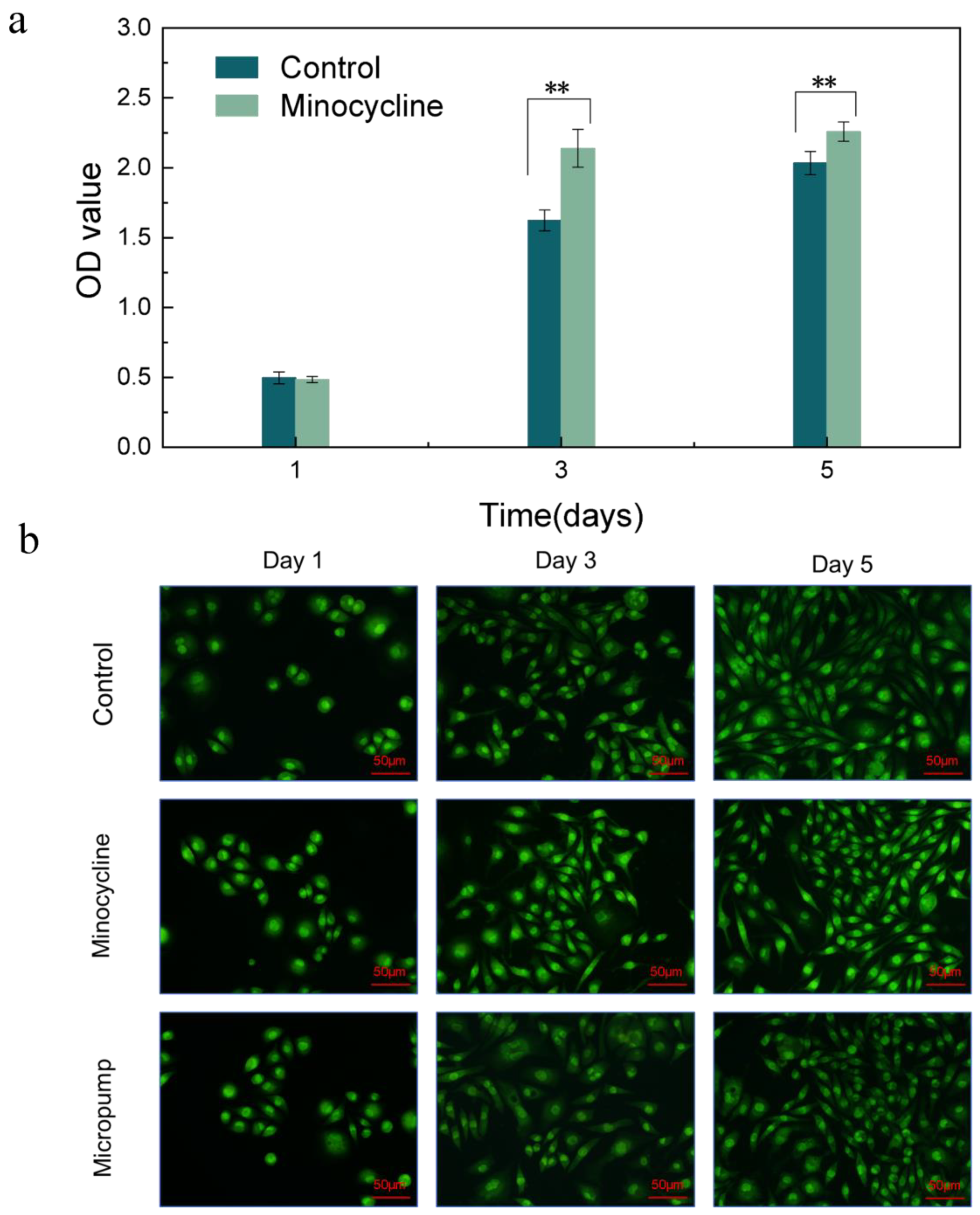 Ijms 24 04616 g006 Ijms 24 04616 g006