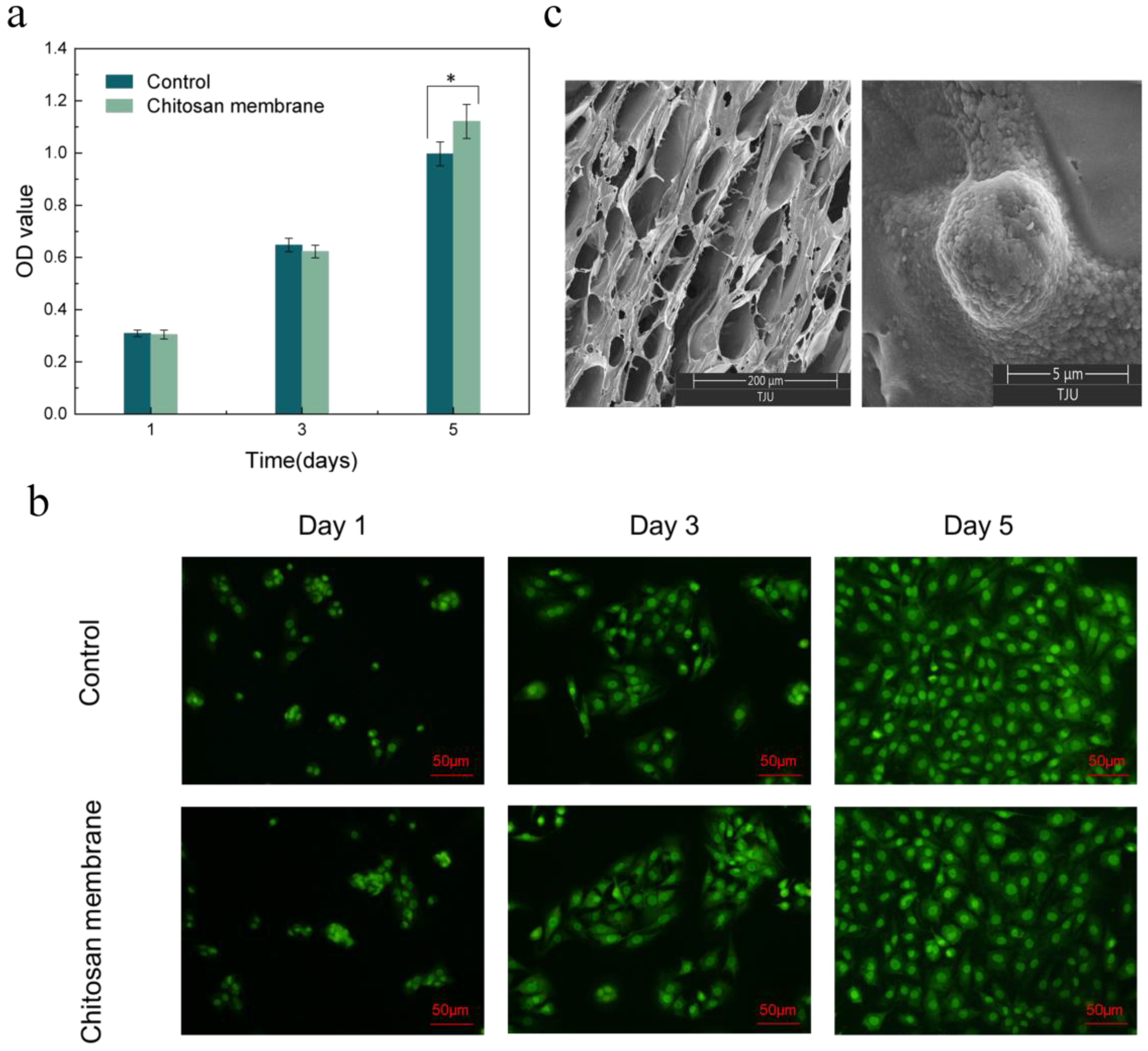 Ijms 24 04616 g007 Ijms 24 04616 g007