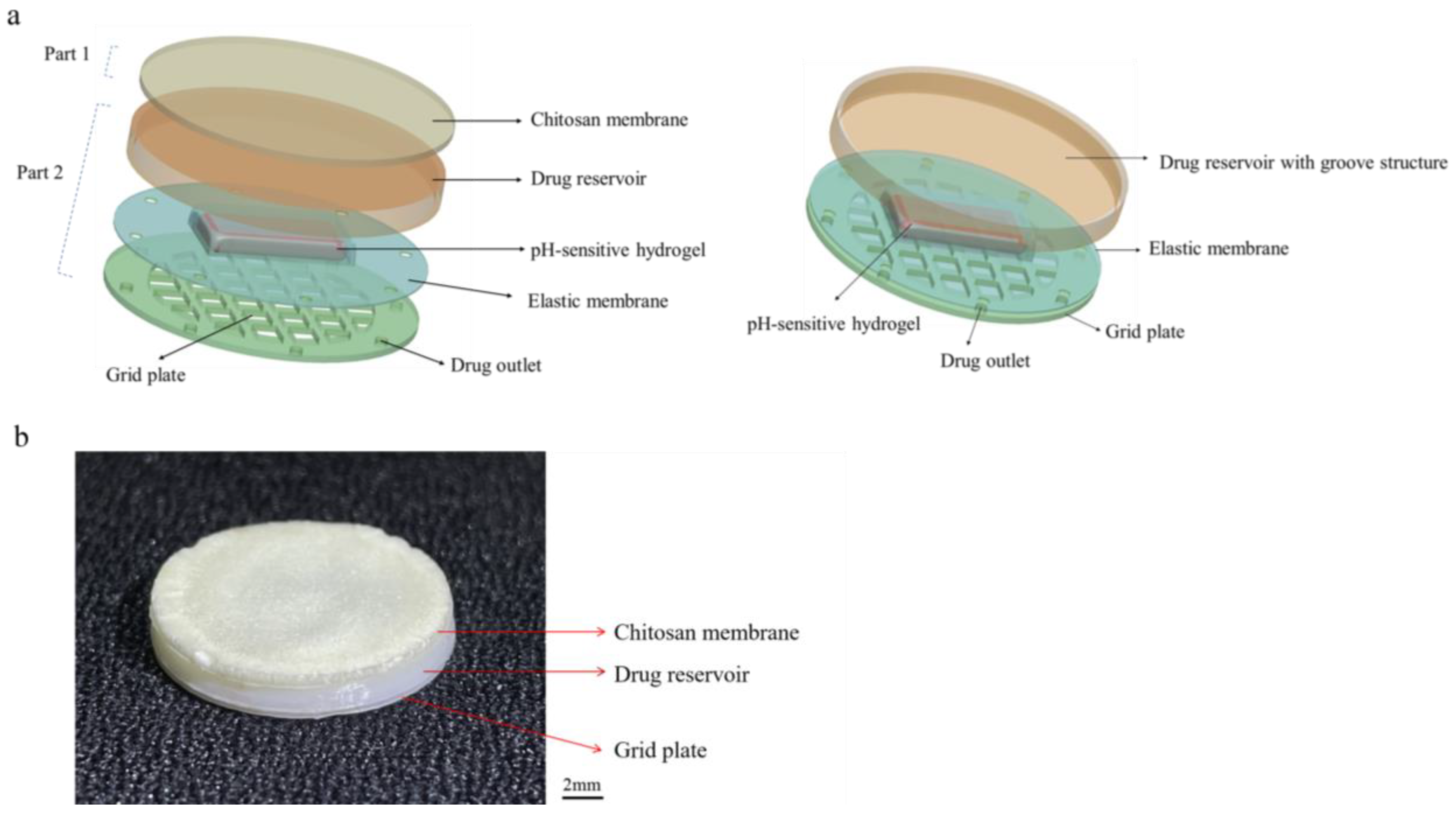 Ijms 24 04616 g008 Ijms 24 04616 g008