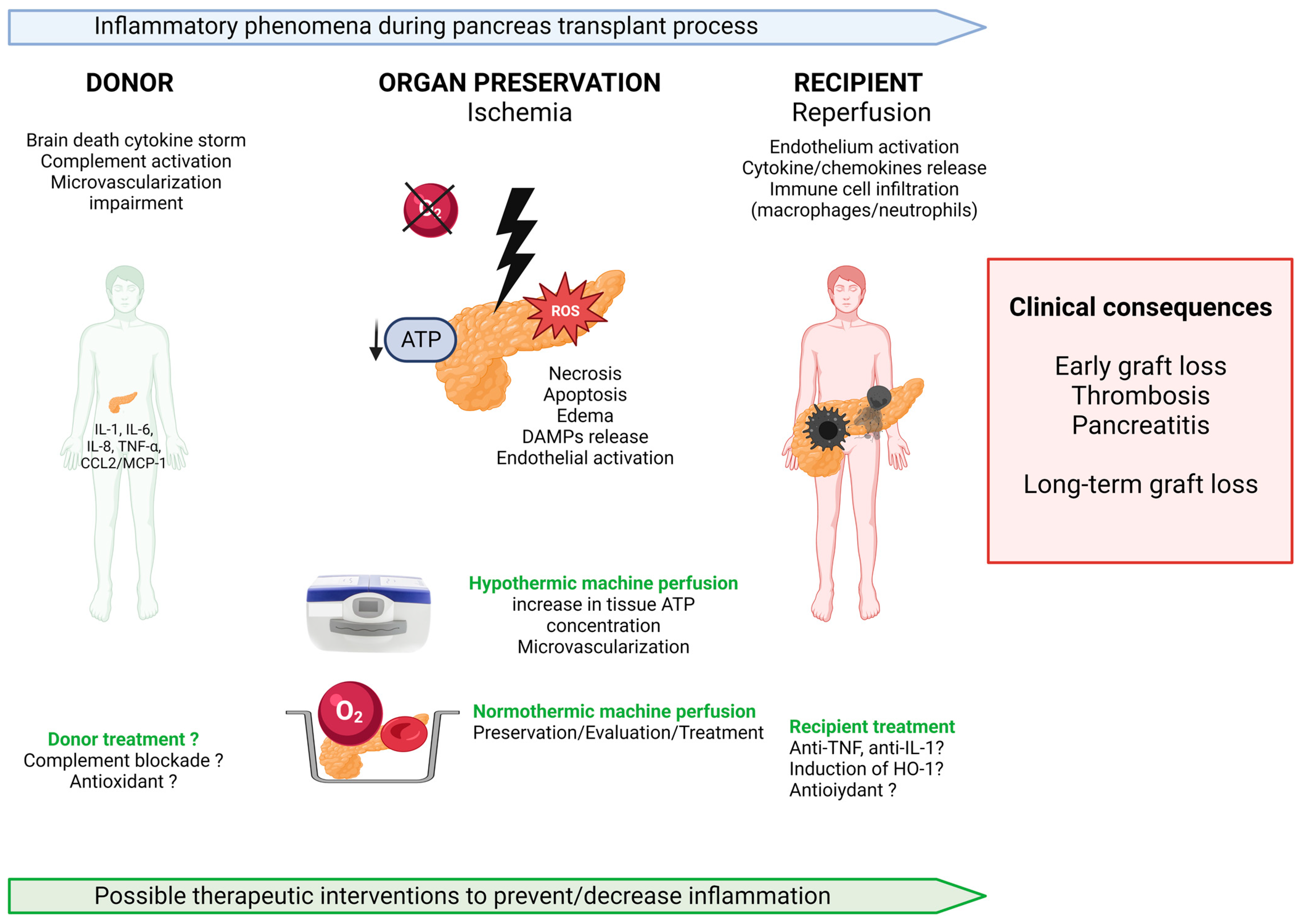 Ijms 24 04636 g001 Ijms 24 04636 g001