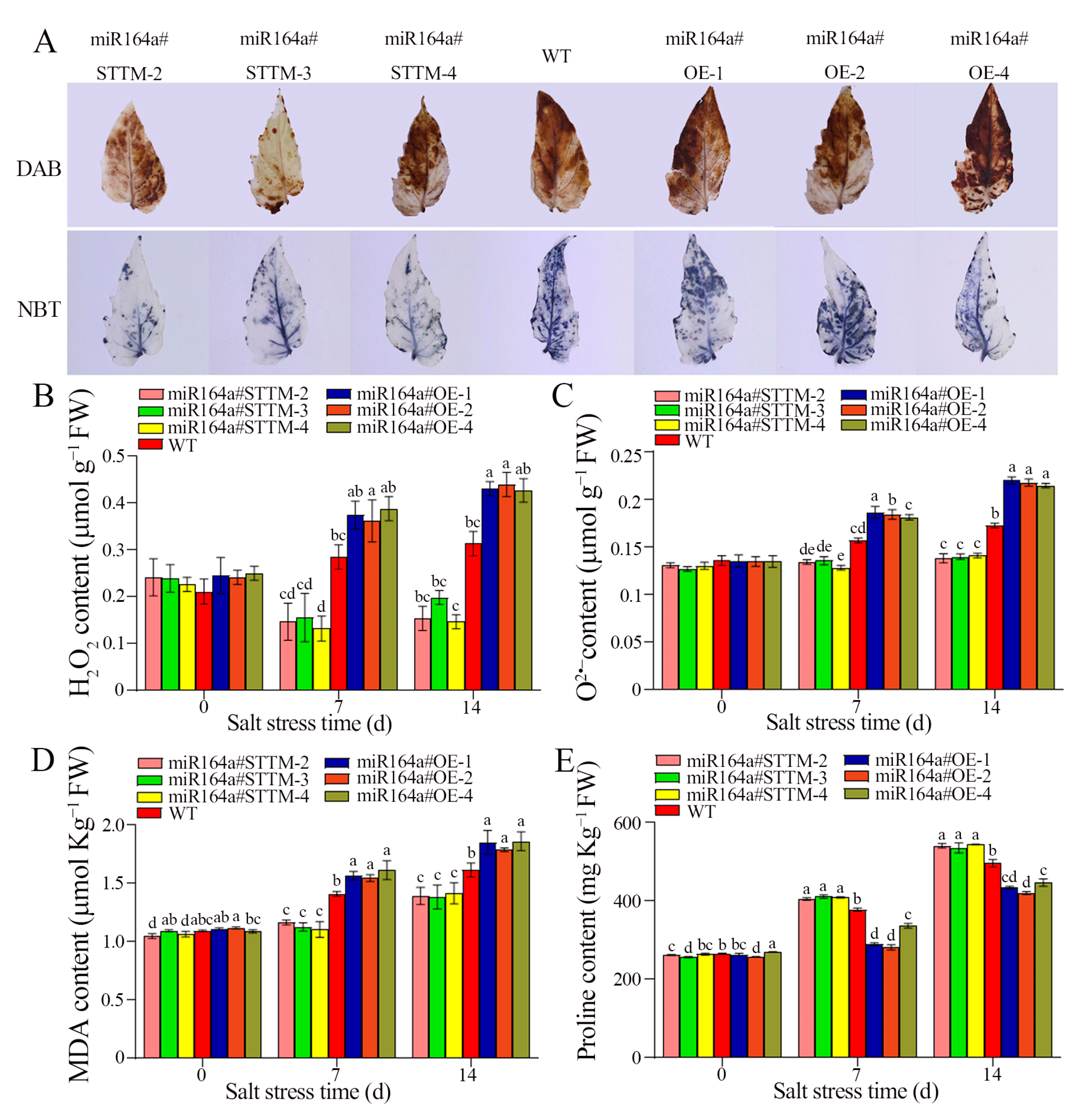 Ijms 24 04639 g002 Ijms 24 04639 g002