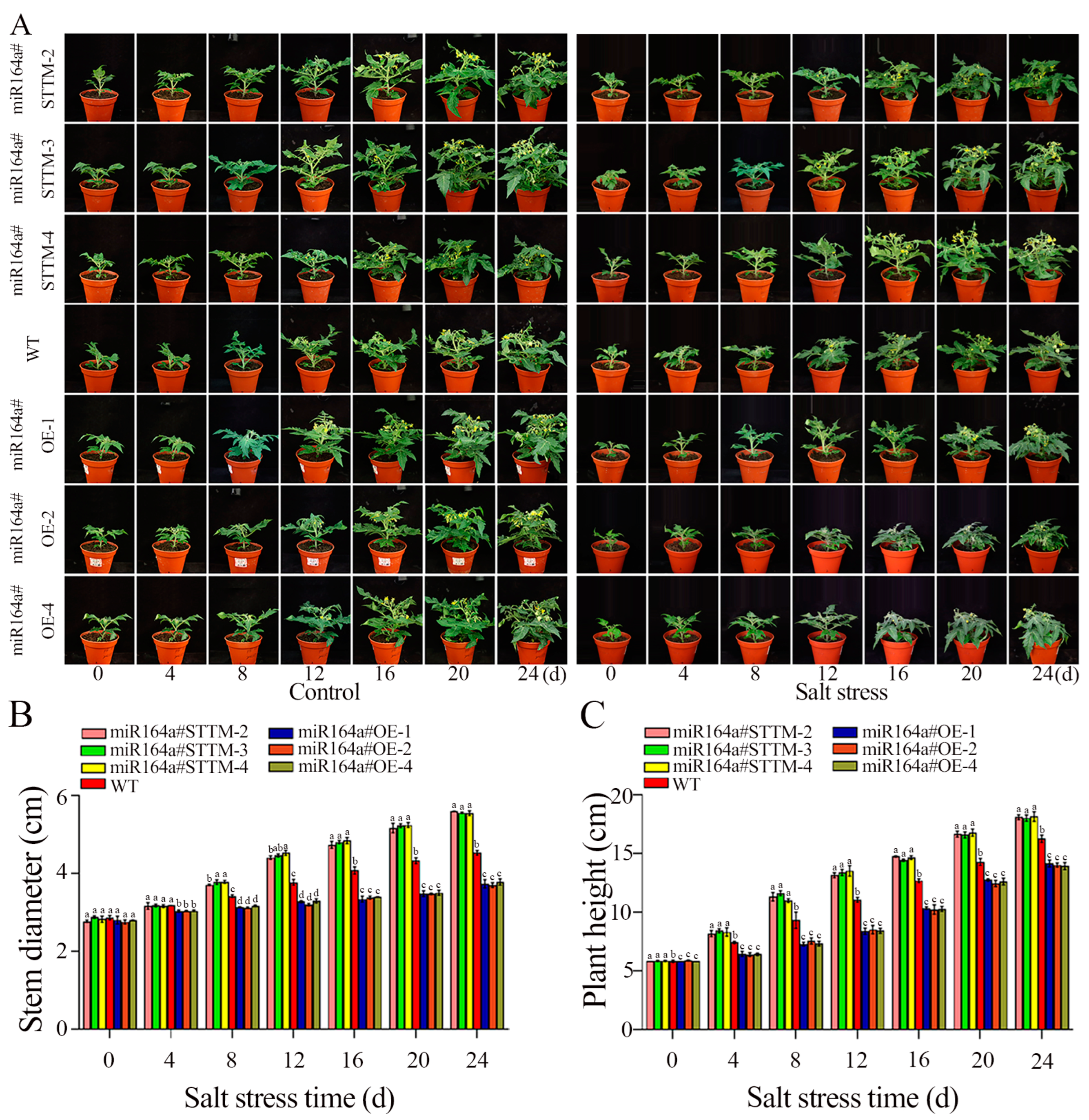 Ijms 24 04639 g003 Ijms 24 04639 g003
