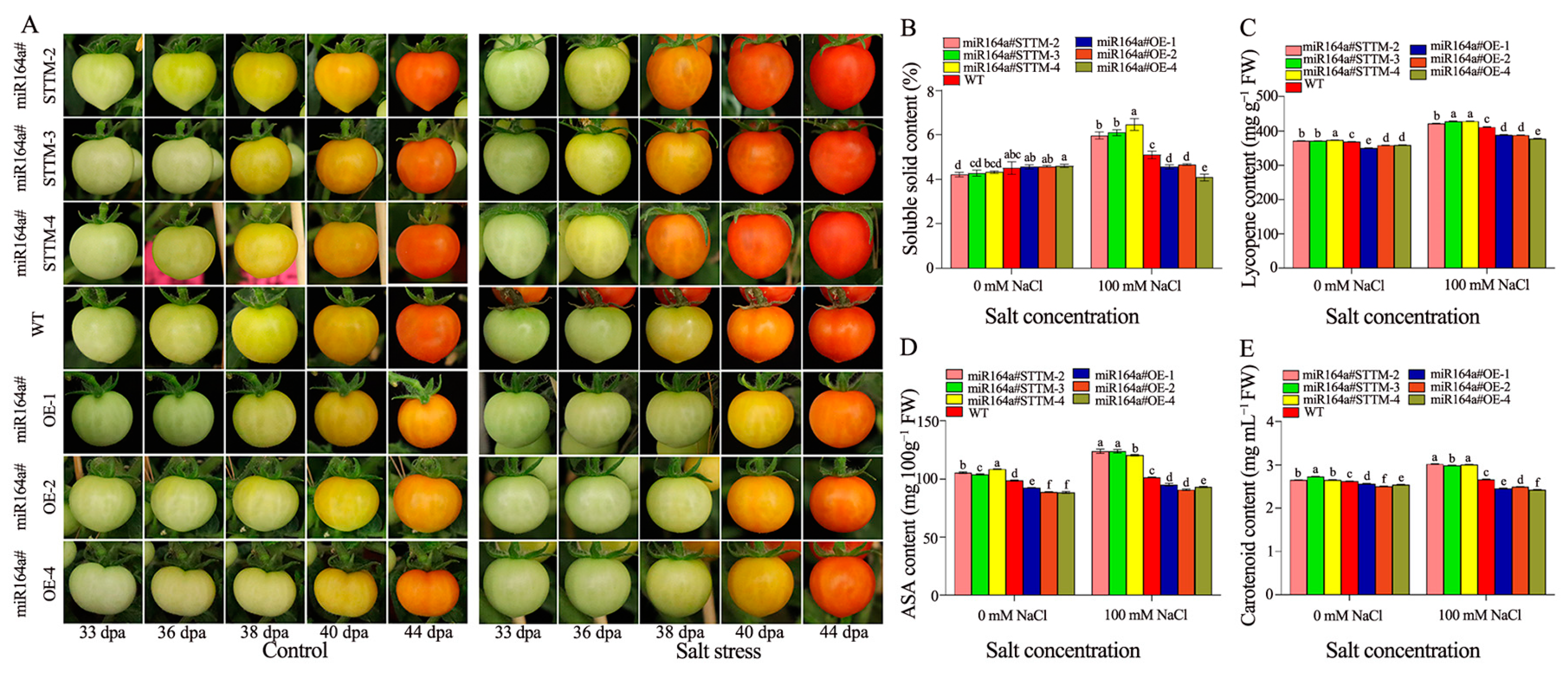 Ijms 24 04639 g004 Ijms 24 04639 g004