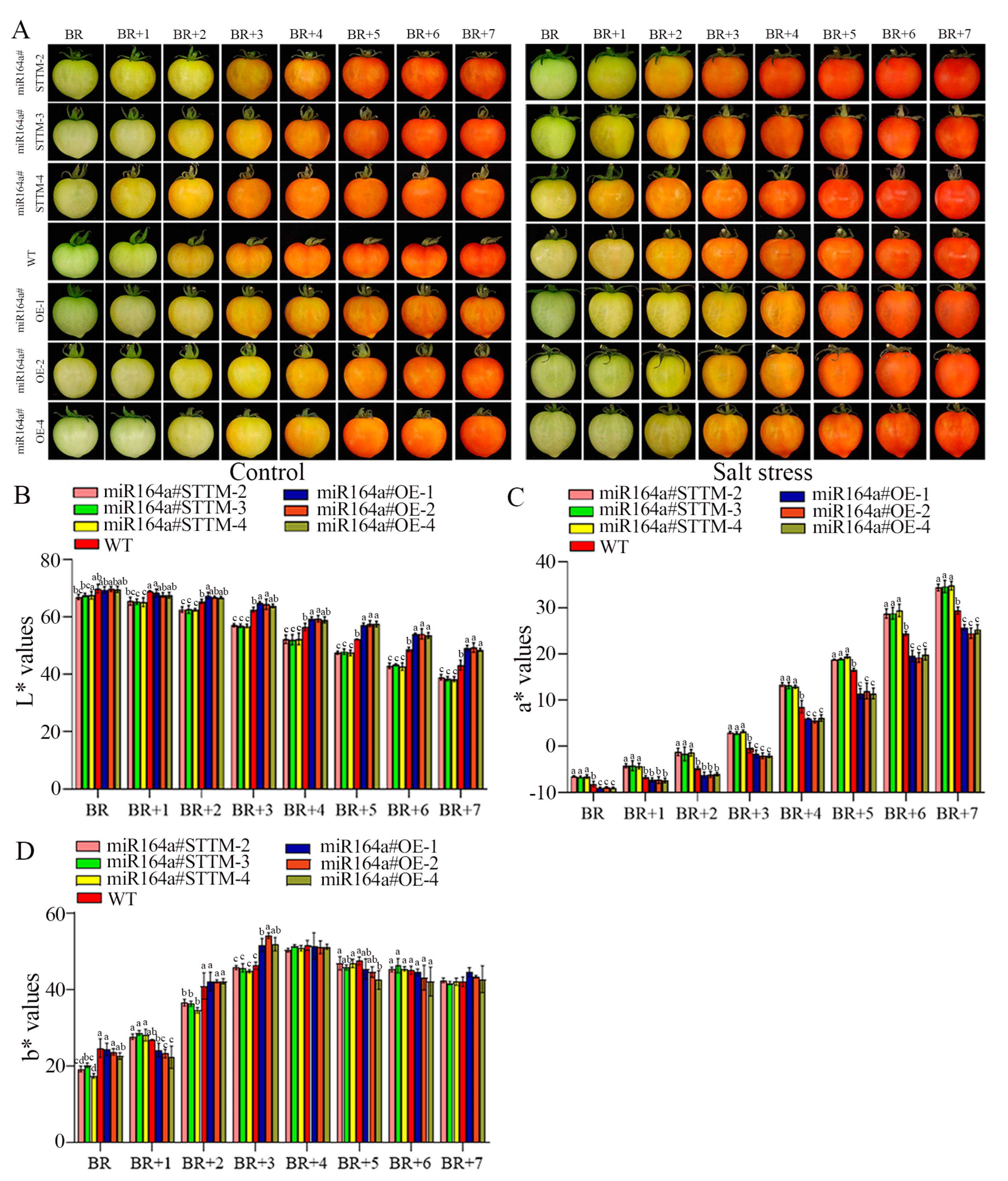 Ijms 24 04639 g005 Ijms 24 04639 g005
