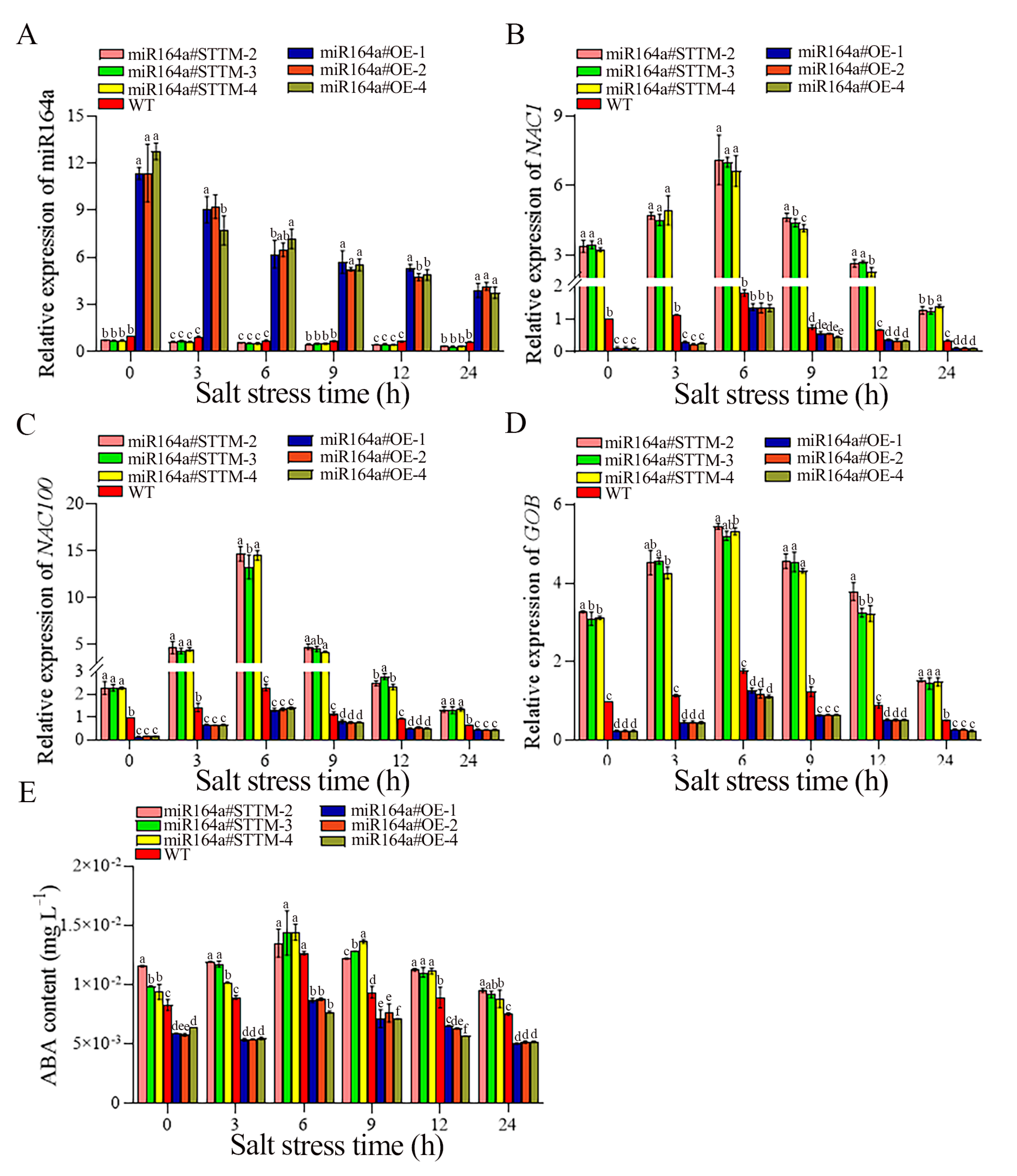 Ijms 24 04639 g007 Ijms 24 04639 g007