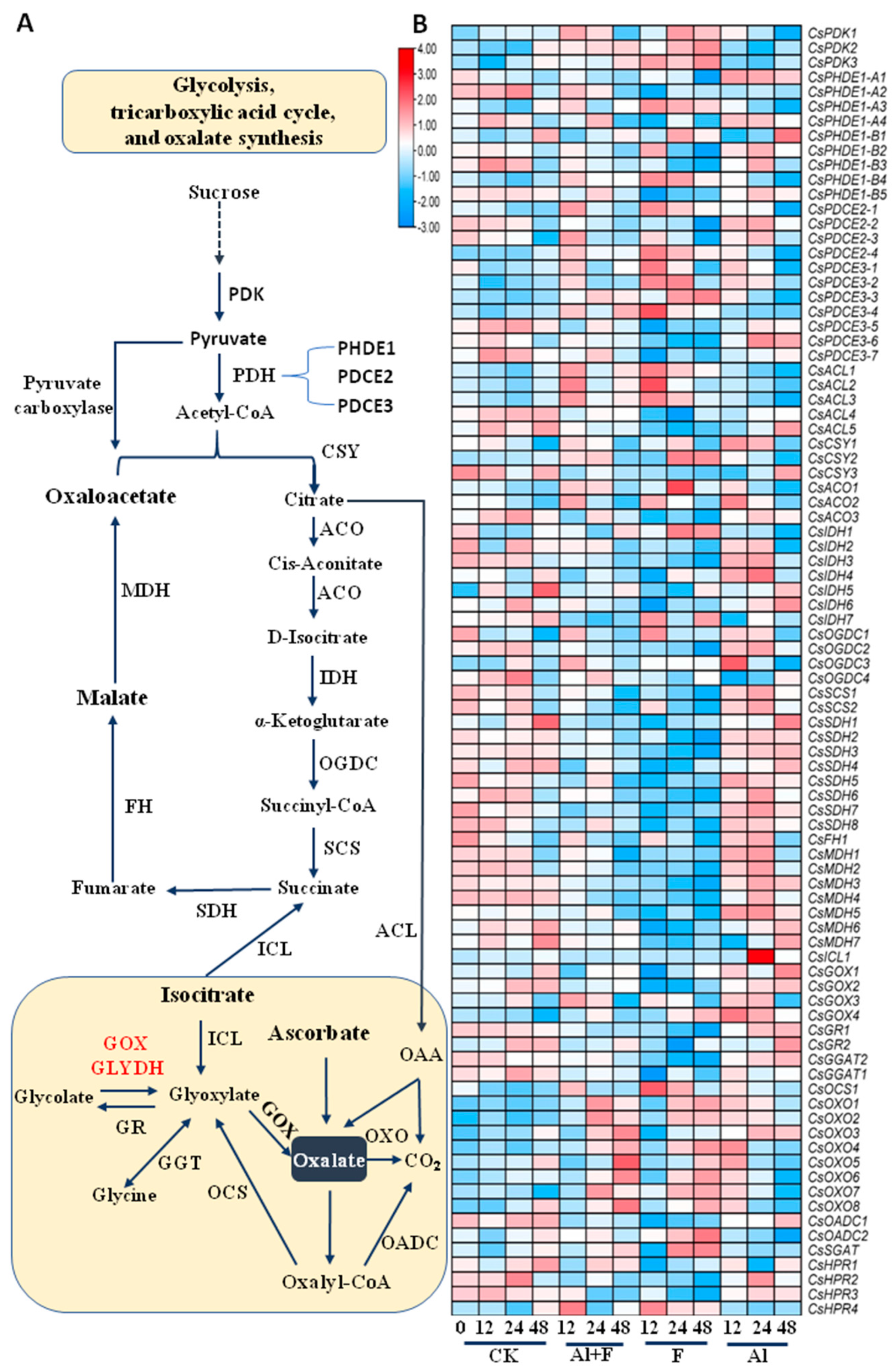 Ijms 24 04640 g002 Ijms 24 04640 g002