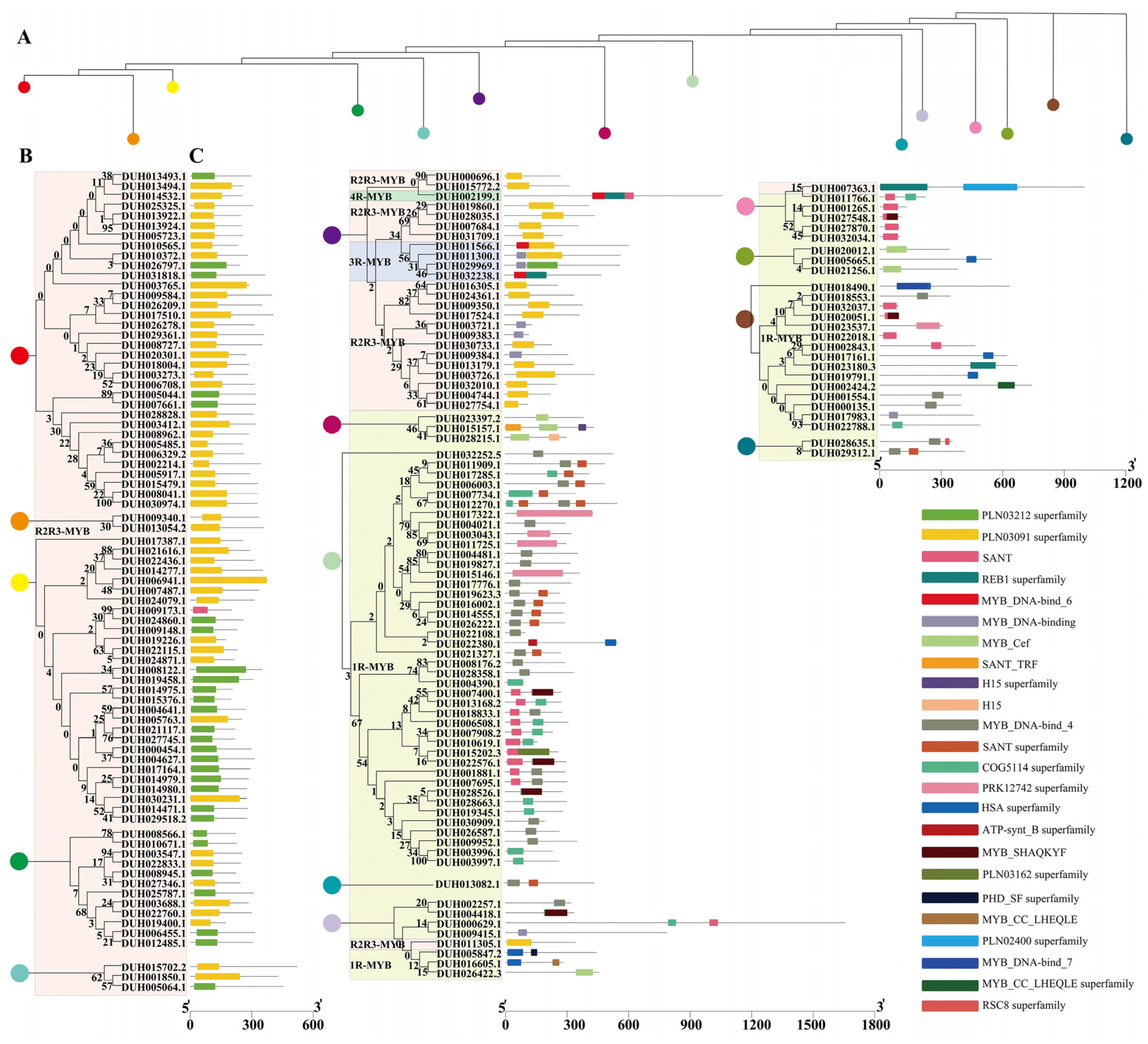 Ijms 24 04641 g001 Ijms 24 04641 g001